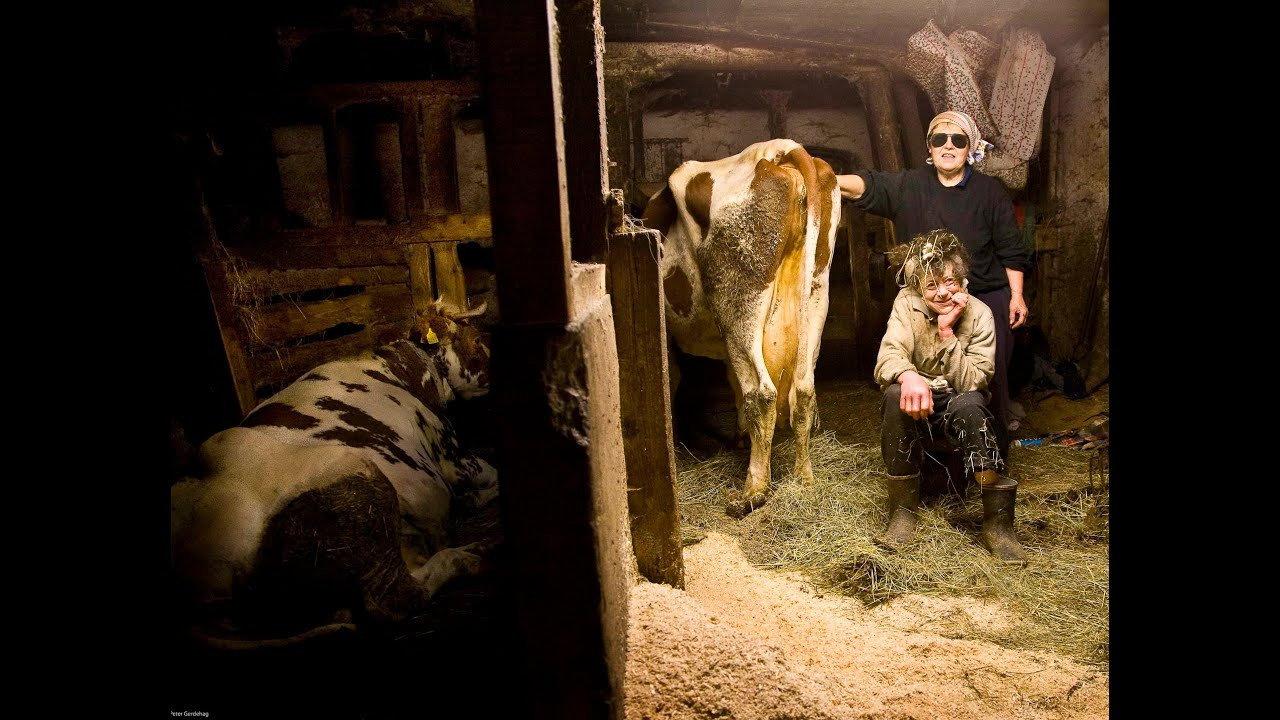 Women with Cows 2011 movie scene