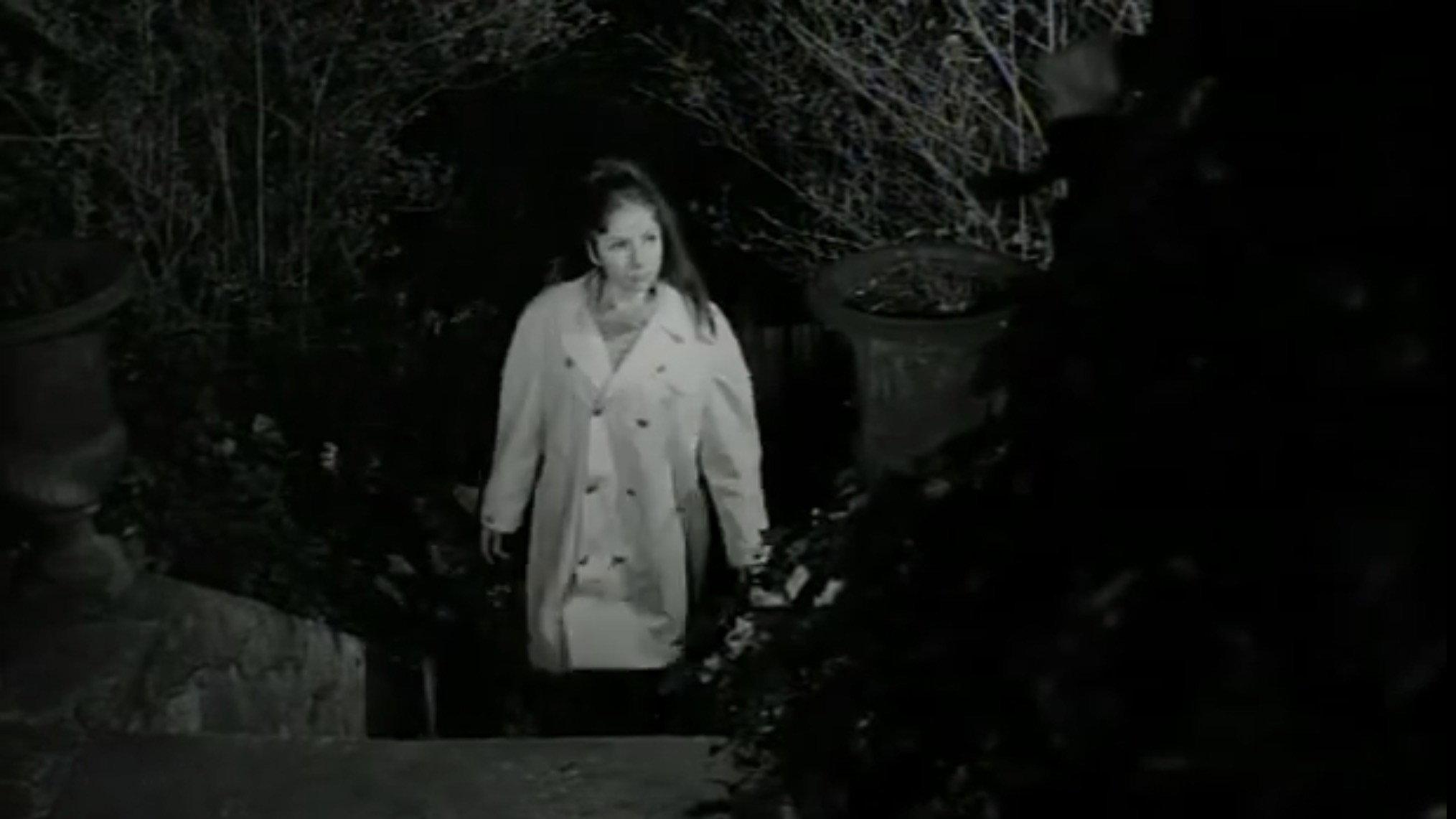 The Far Countries 1965 movie scene