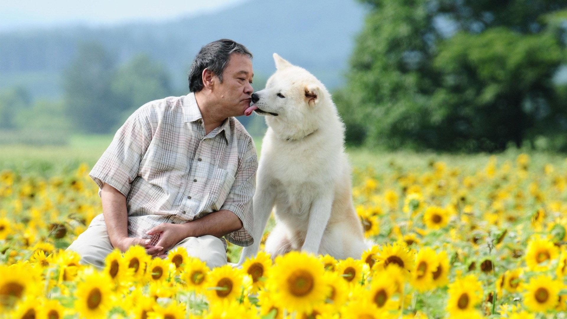 Star Watching Dog 2011 movie scene