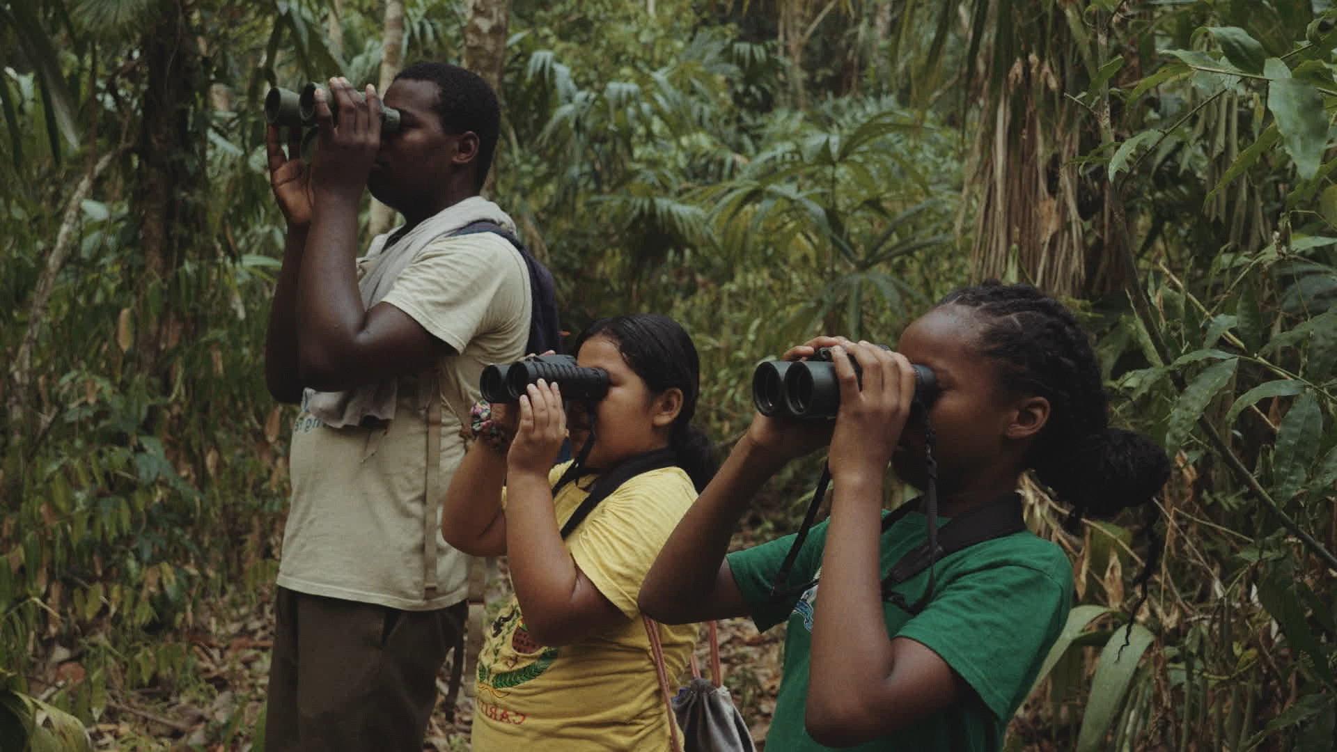 The Mayan Forest: When a Tapir Gazes Upon You 2025 movie scene