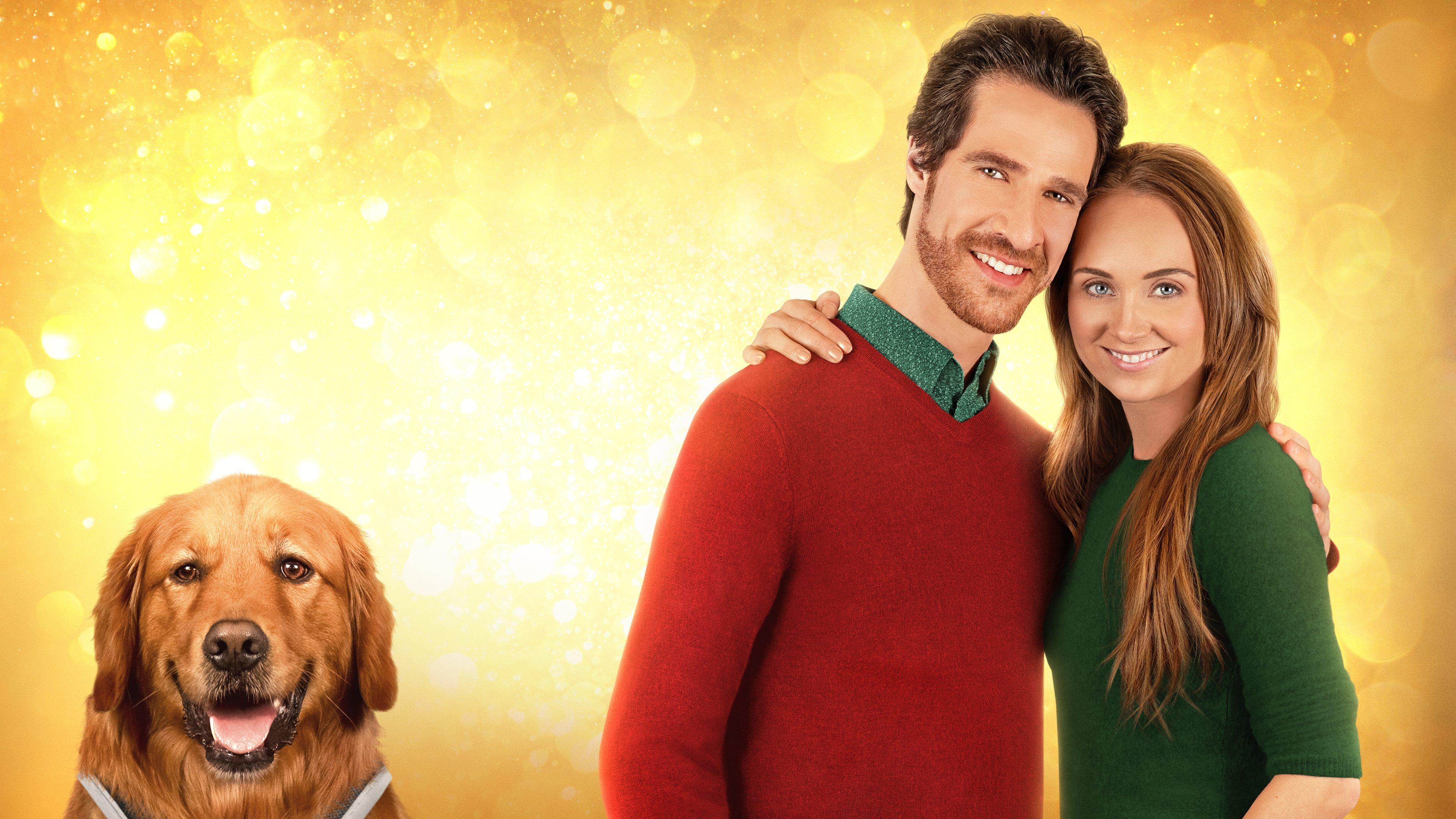 My Christmas Guide 2023 movie scene