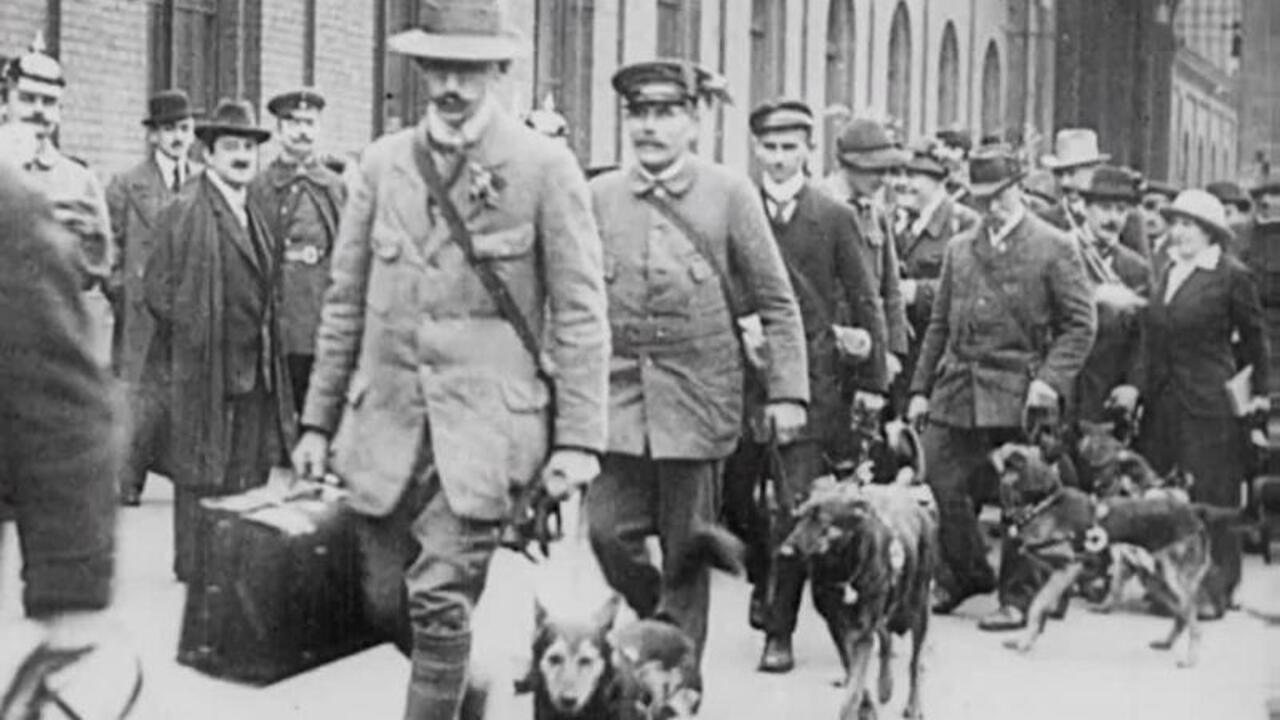 Red Cross Dogs 1914 movie scene