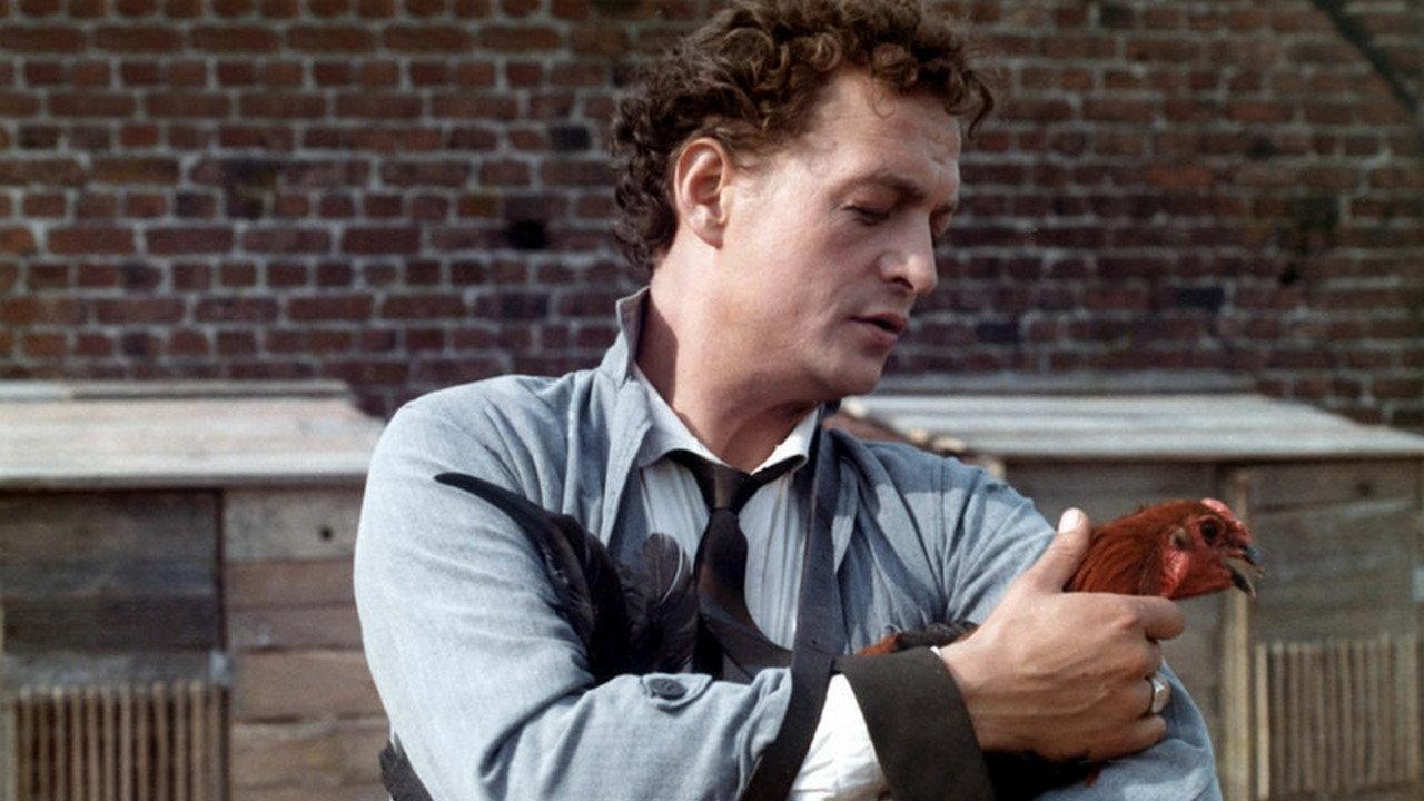 Solemn Communion 1977 movie scene
