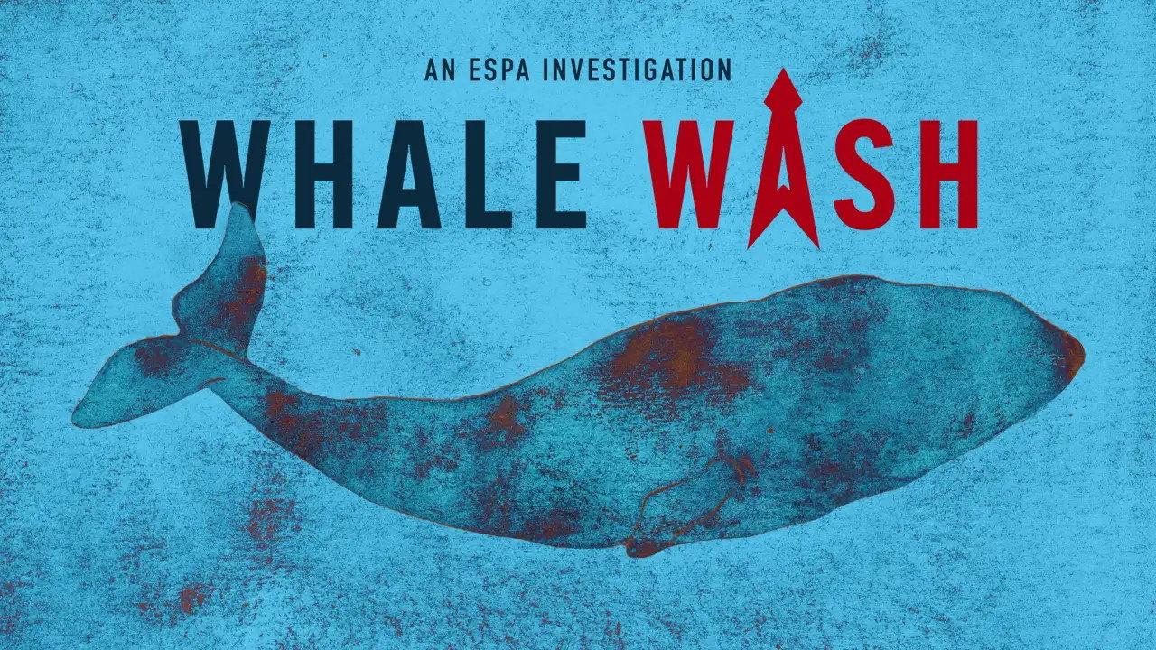 Whale Wash 2023 movie scene