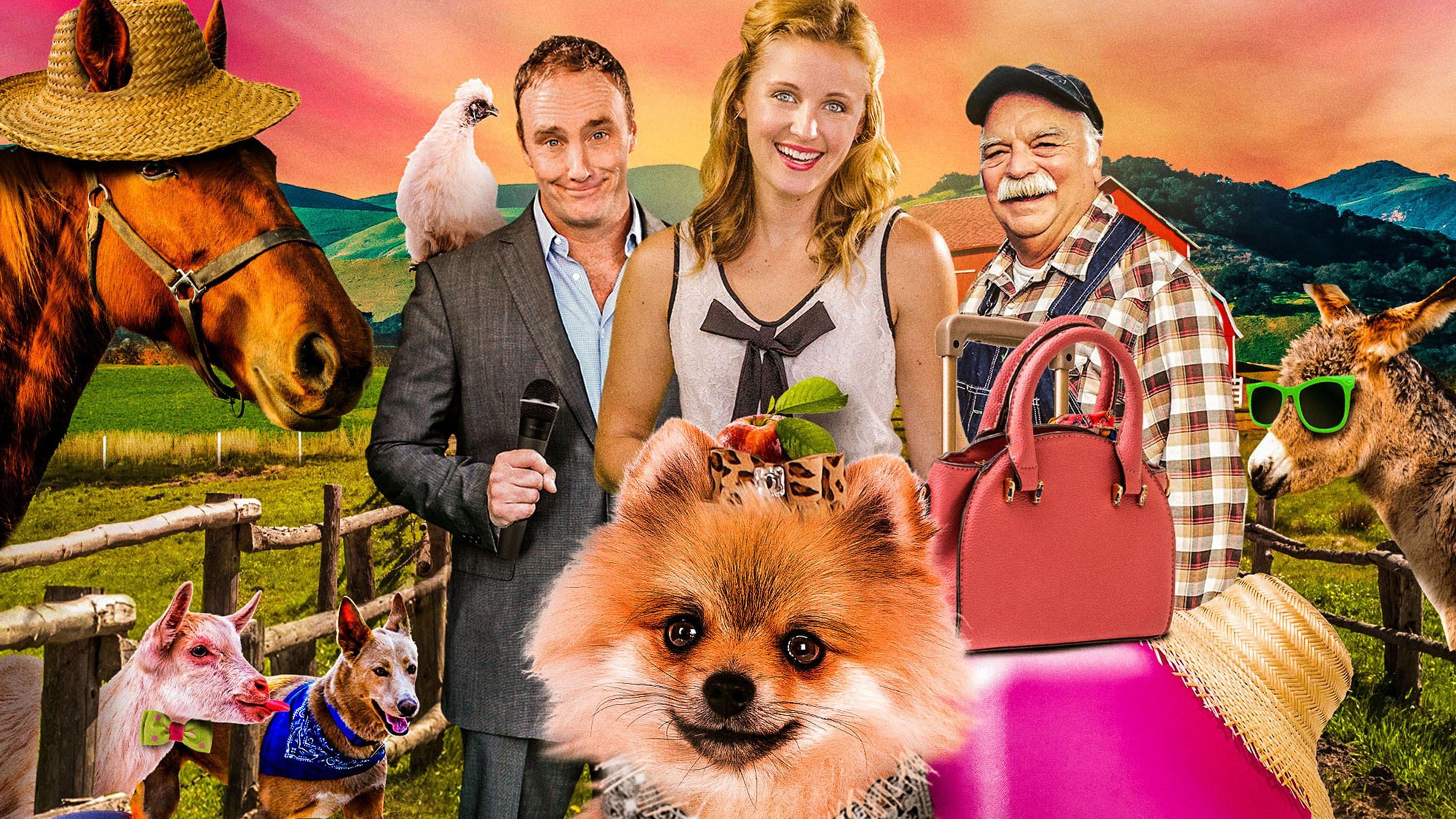 PawParazzi 2019 movie scene