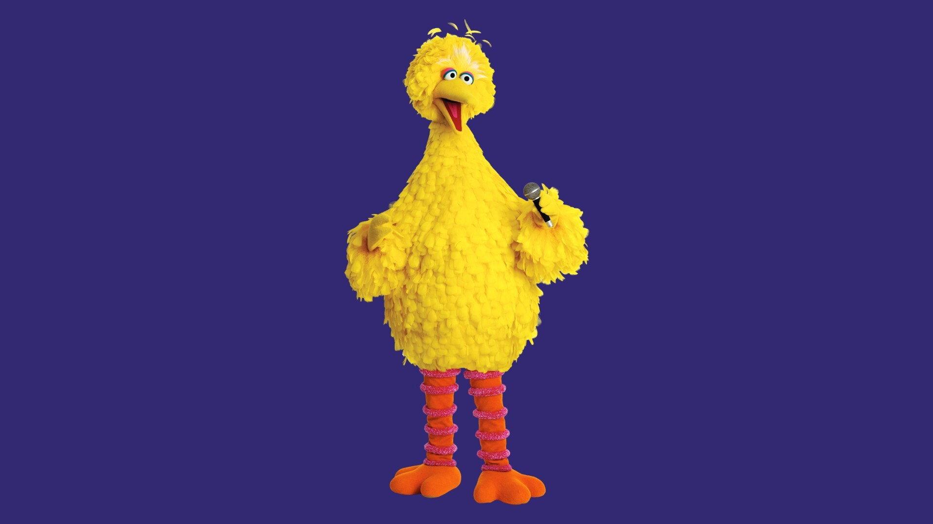 Sesame Street: Big Bird Sings! 2005 movie scene