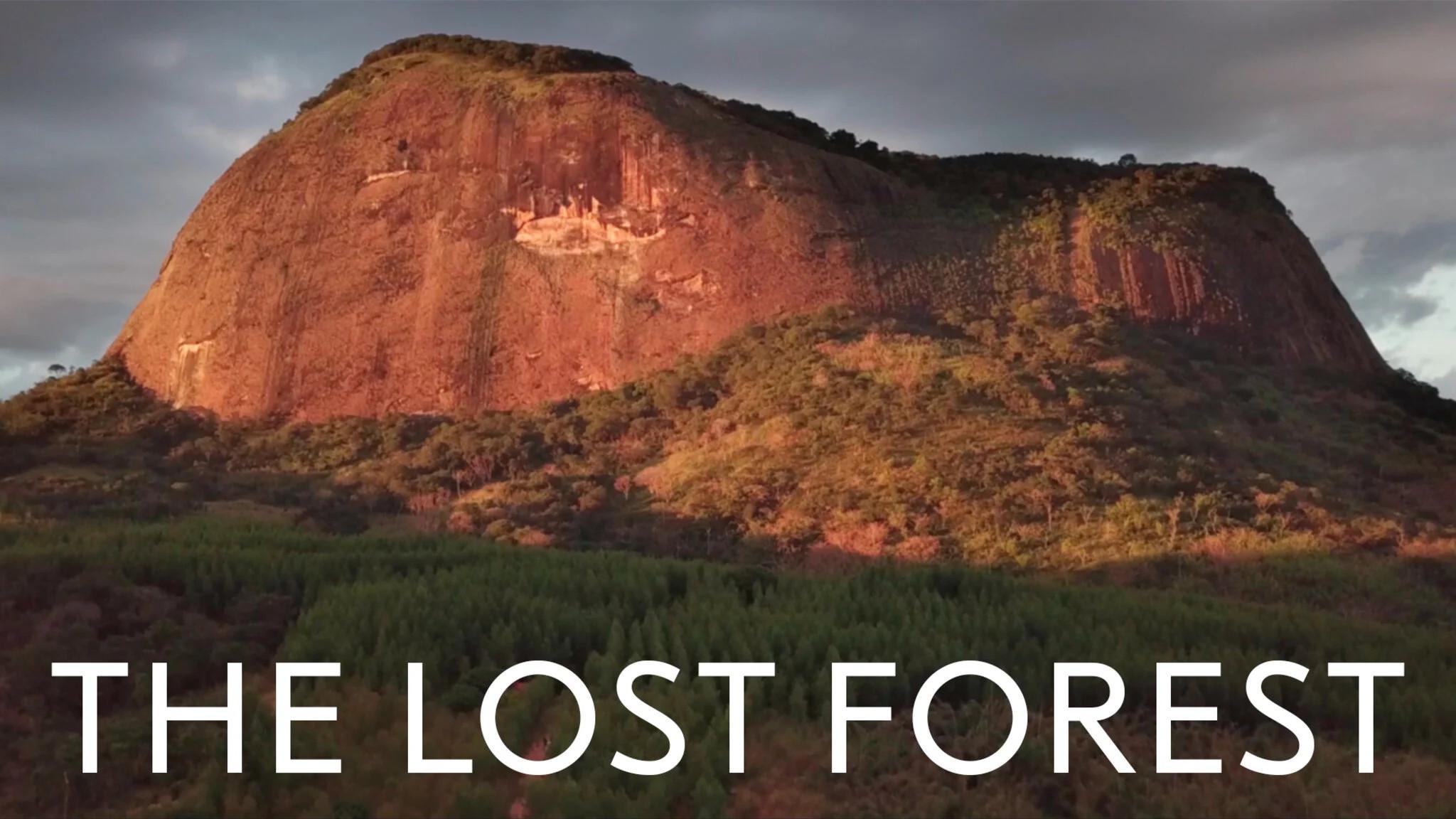 The Lost Forest 2020 movie scene
