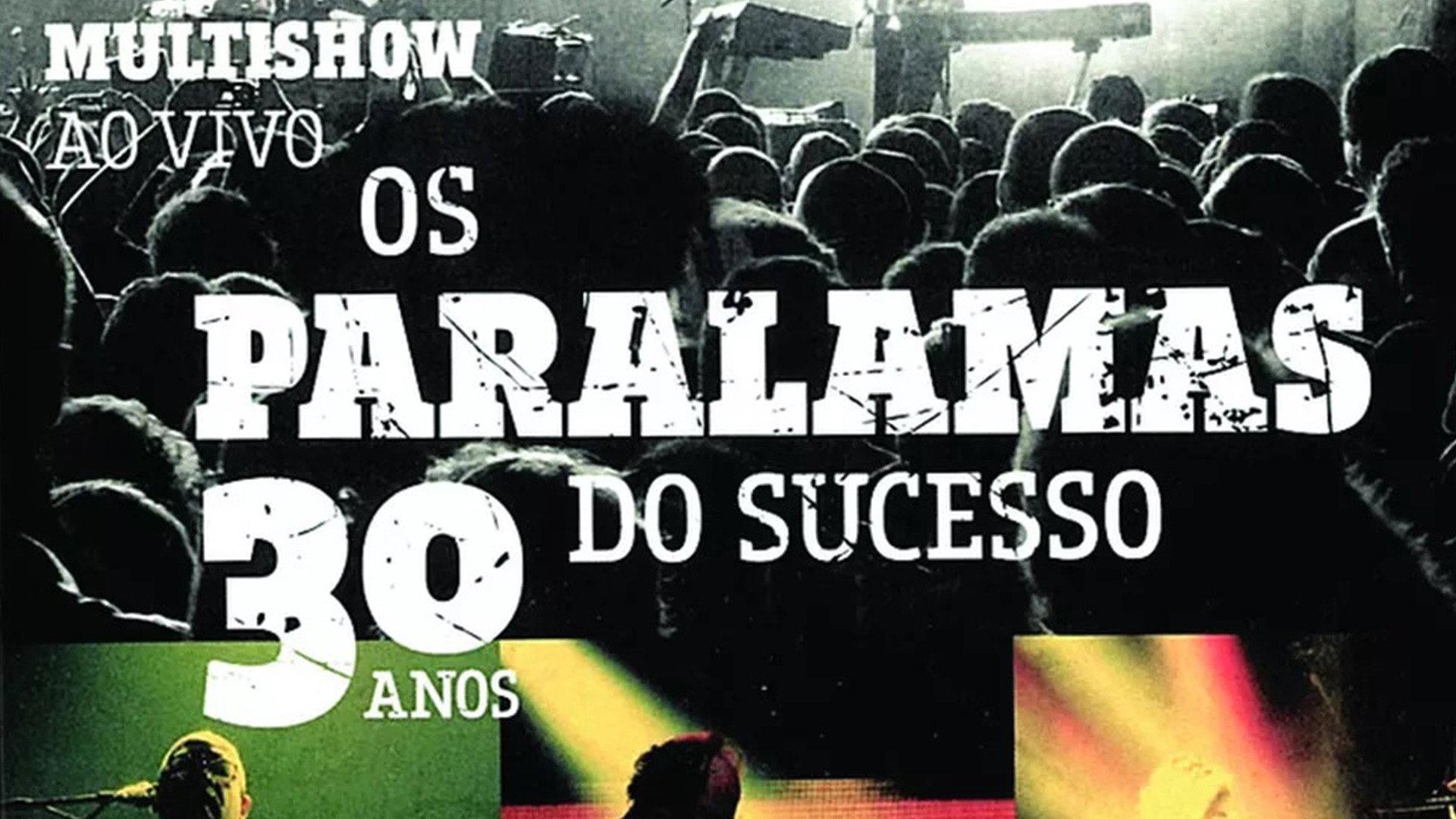 Os Paralamas do Sucesso - 30 Anos Multishow ao Vivo 2013 movie scene