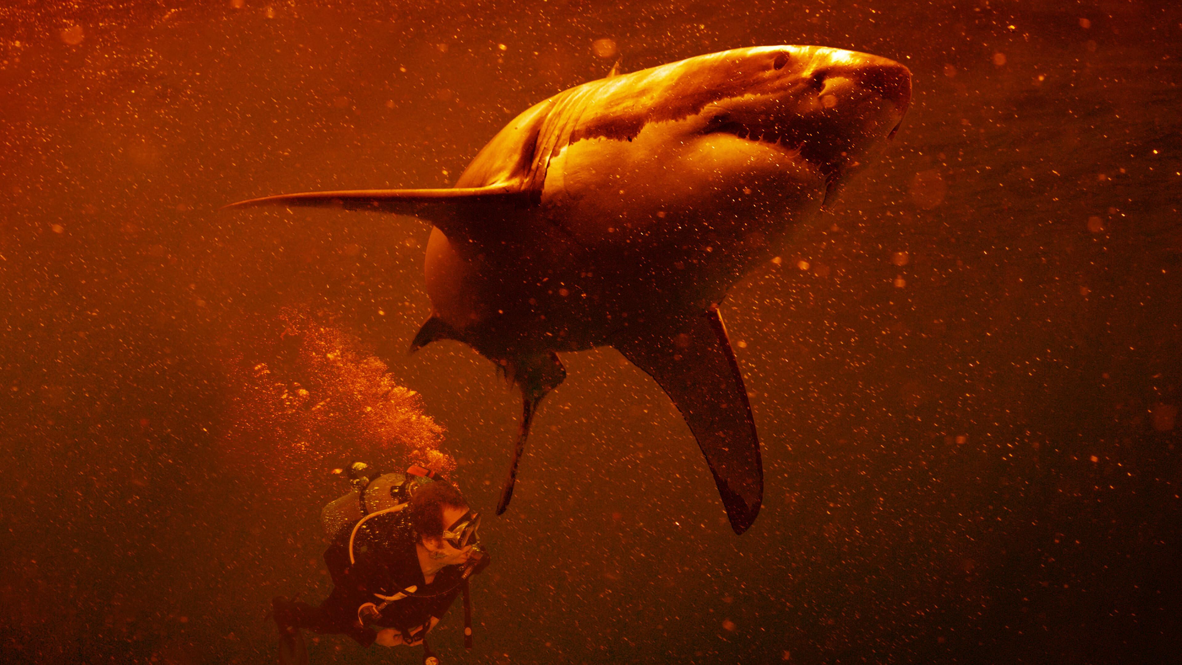 Sharkcano: Hawaii 2023 movie scene