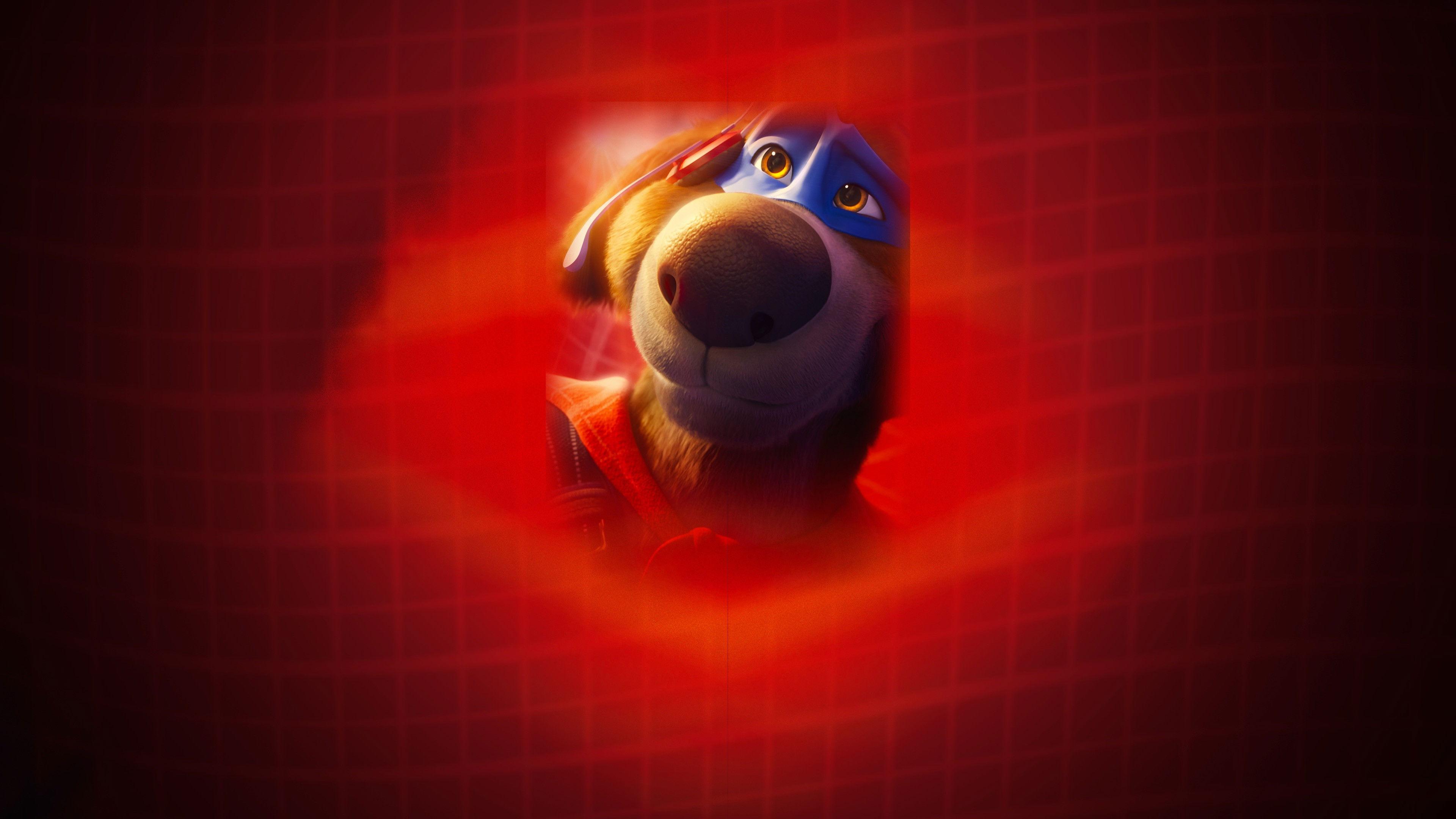Charlie the Wonderdog 2025 movie scene