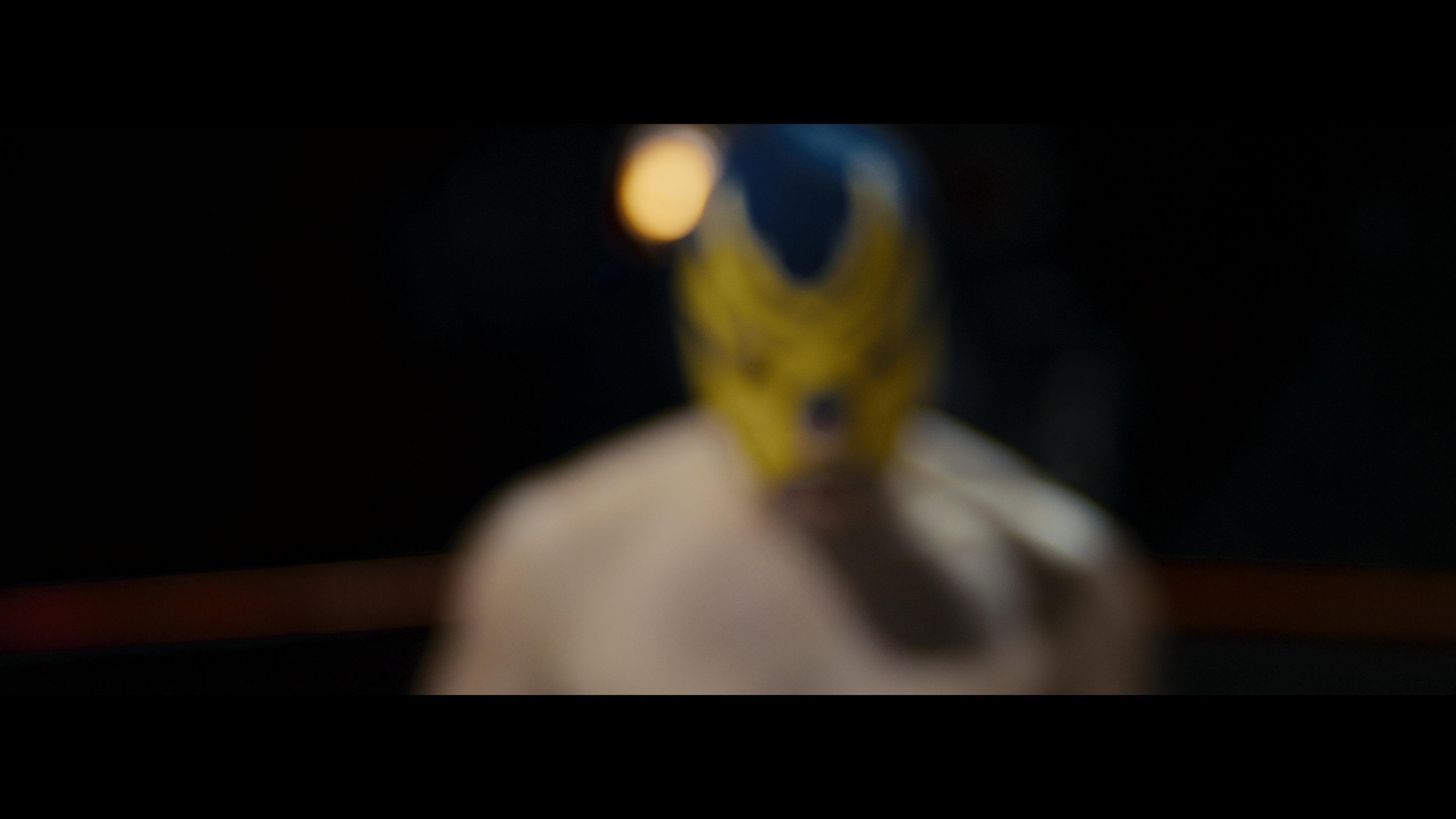 Emblema 2024 movie scene