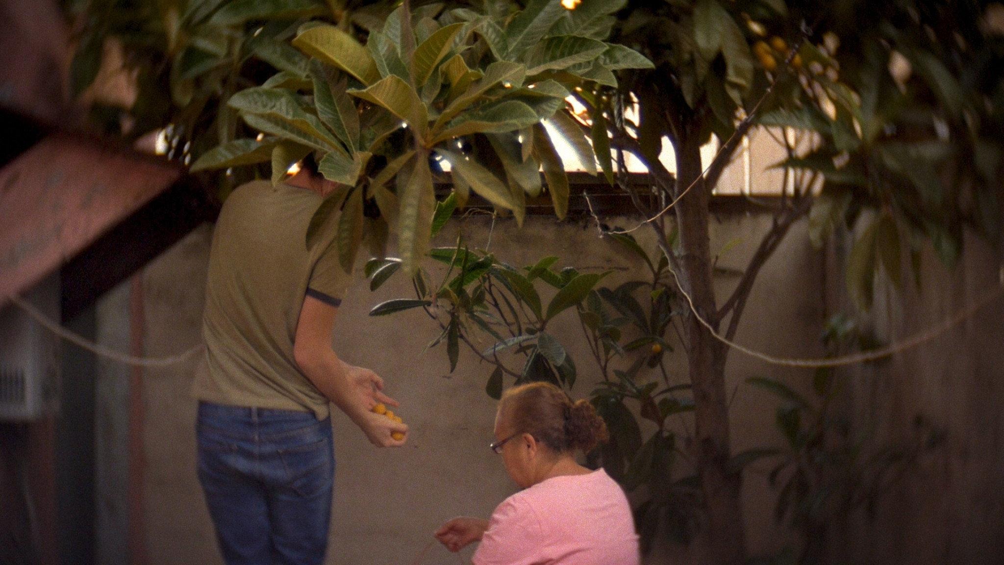 Agua Caliente 2022 movie scene