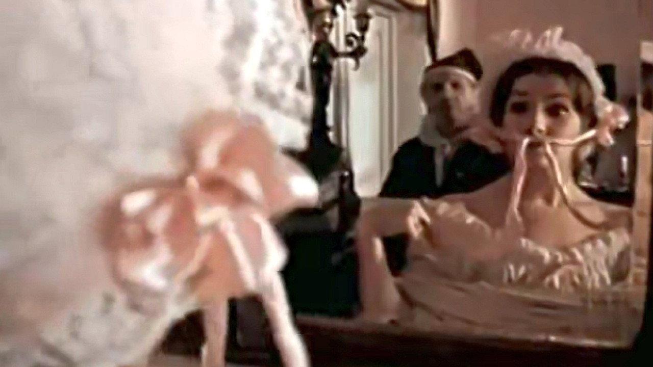 The Treasurer's Wife 1980 movie scene