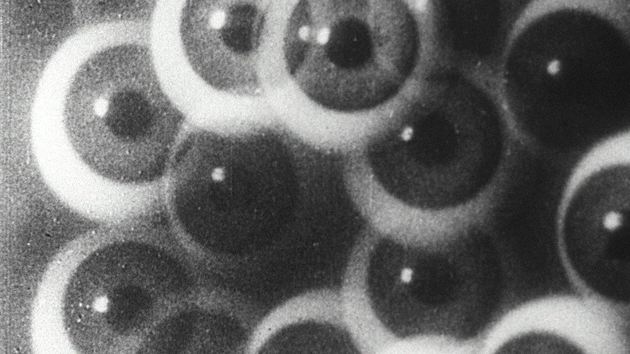 Film Study 1926 movie scene