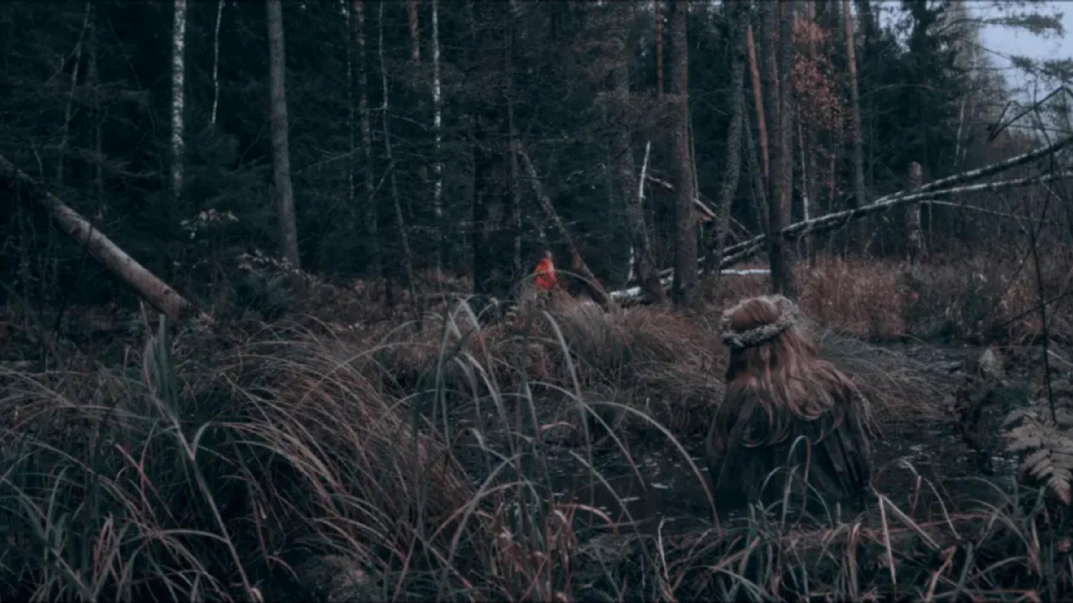 Izvod: Witch's Swamp 2025 movie scene