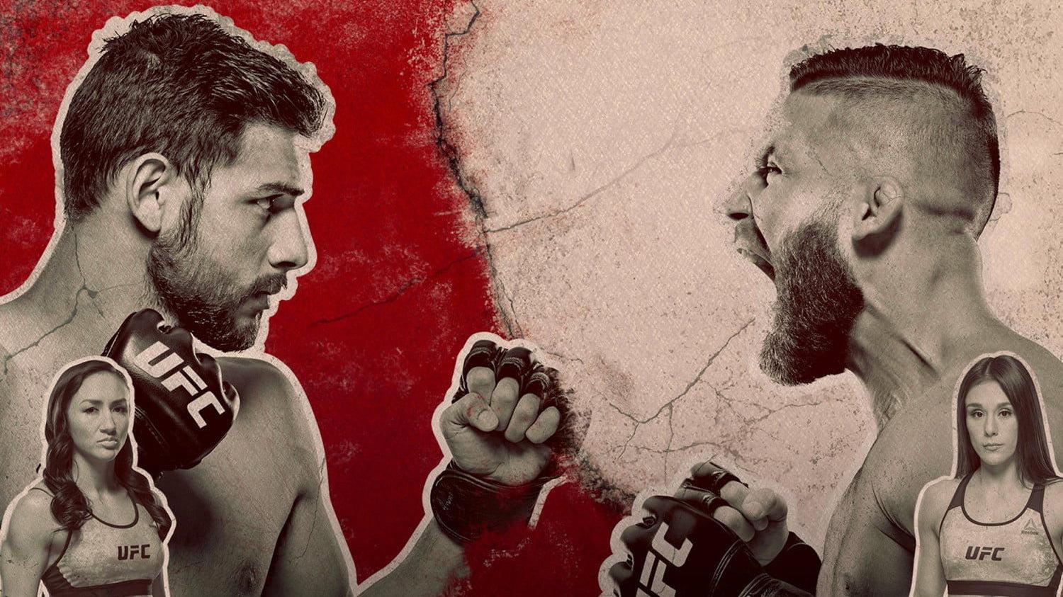 UFC Fight Night 159: Rodriguez vs. Stephens 2019 movie scene