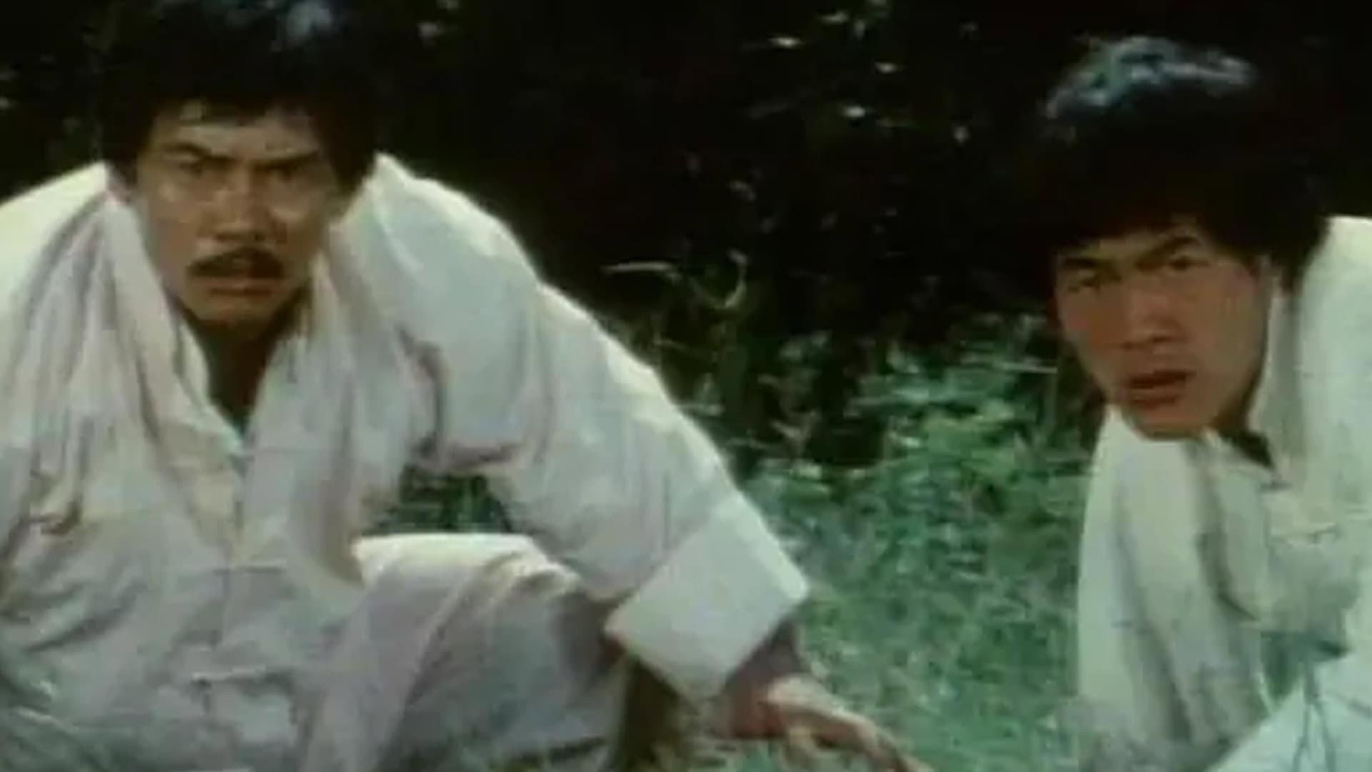Bruce Lee The Invincible 1978 movie scene