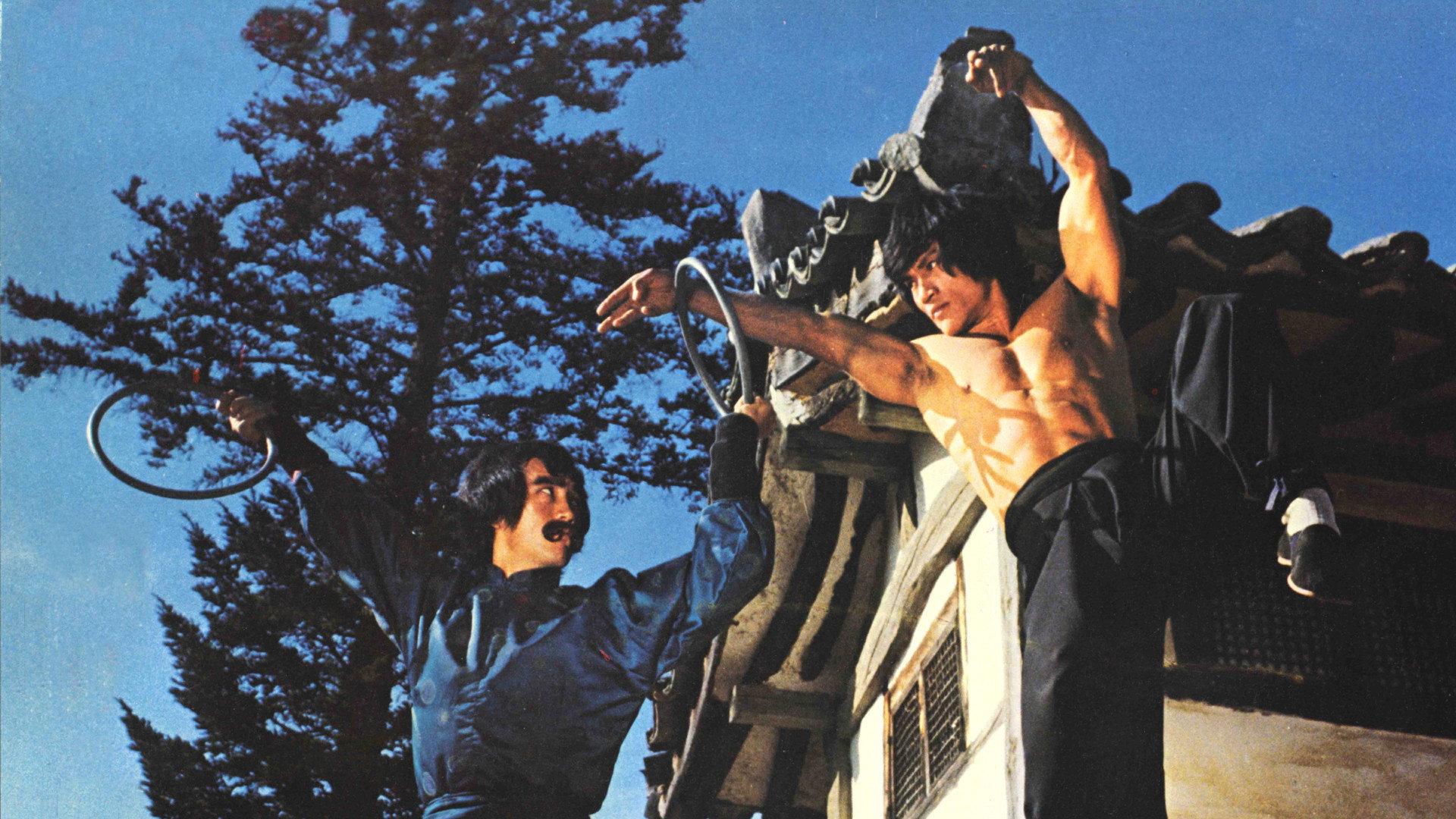 The Dragon's Snake Fist 1982 movie scene