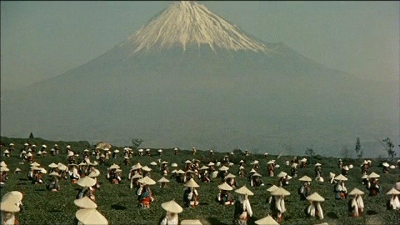Ishimatsu: the One-Eyed Avenger 1960 movie scene