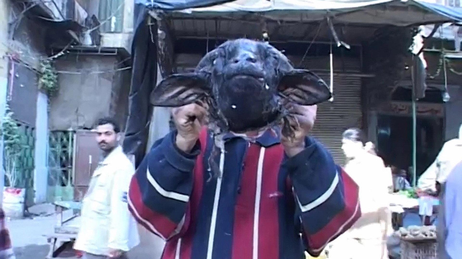 Sons of Osiris 2004 movie scene