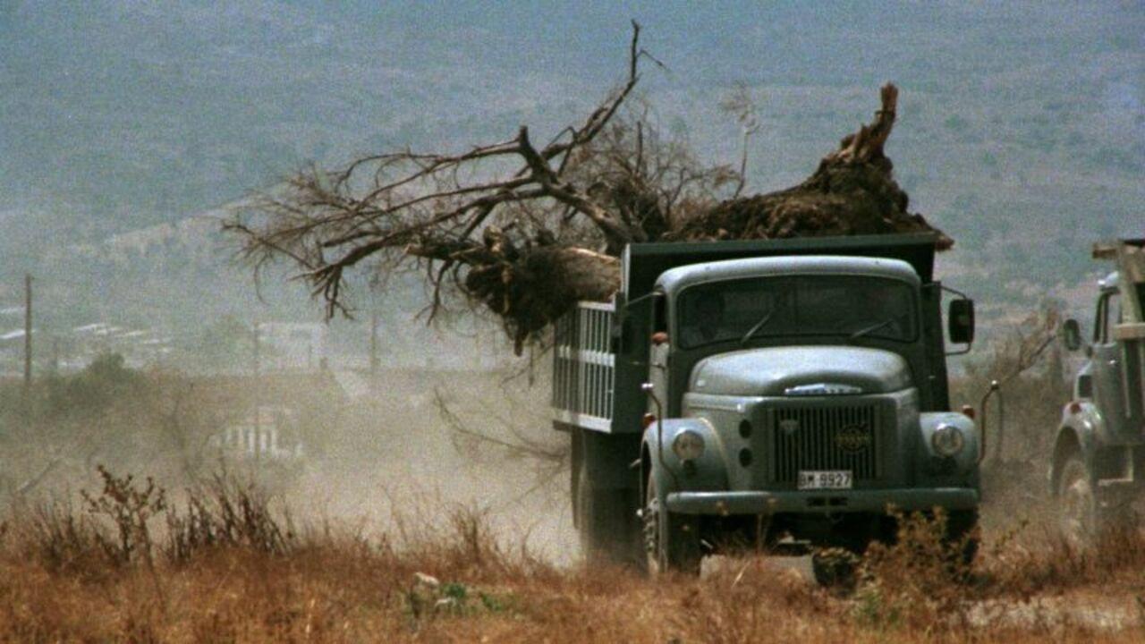 Megara 1974 movie scene
