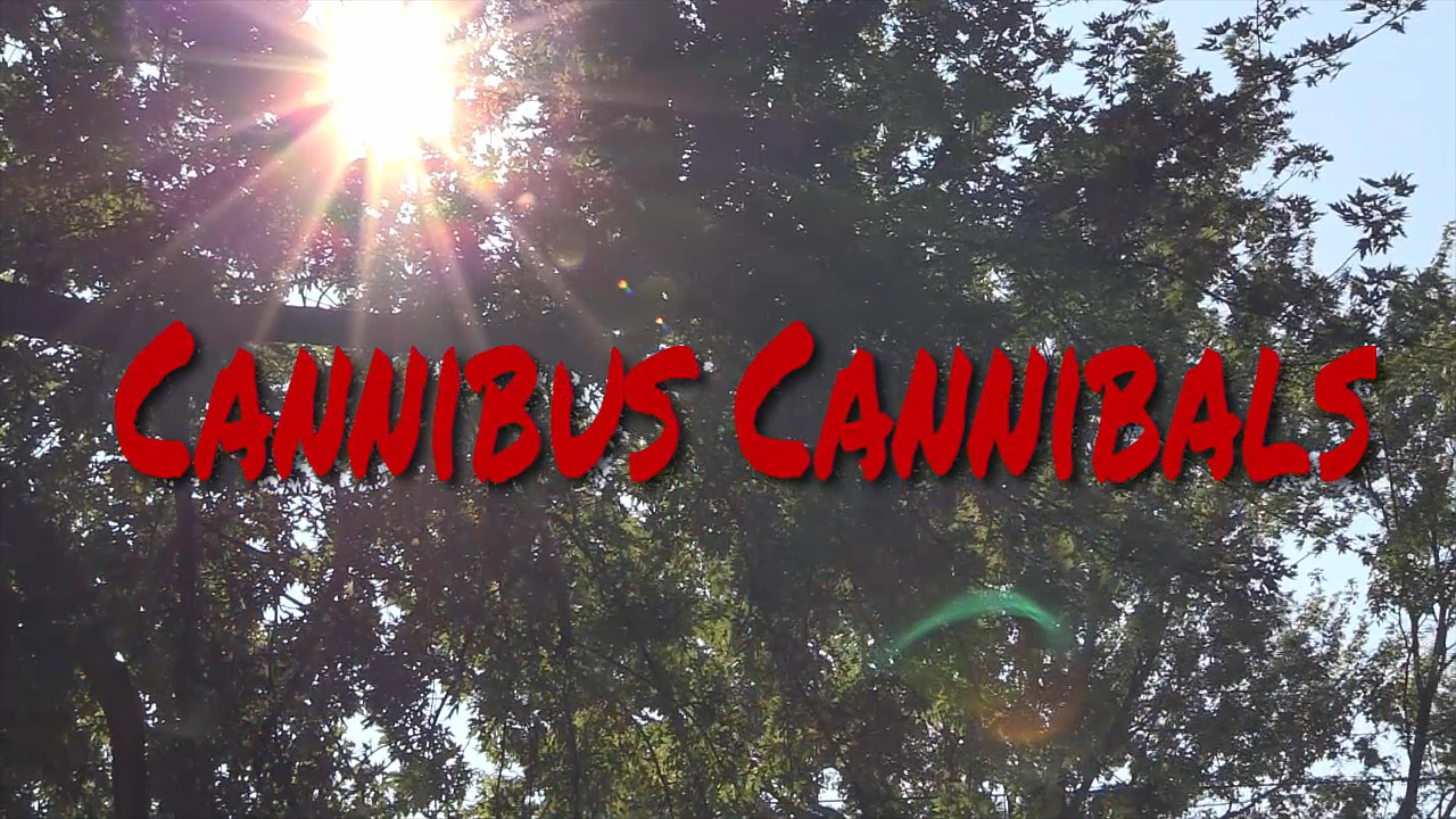 Cannabis Cannibals 2017 movie scene
