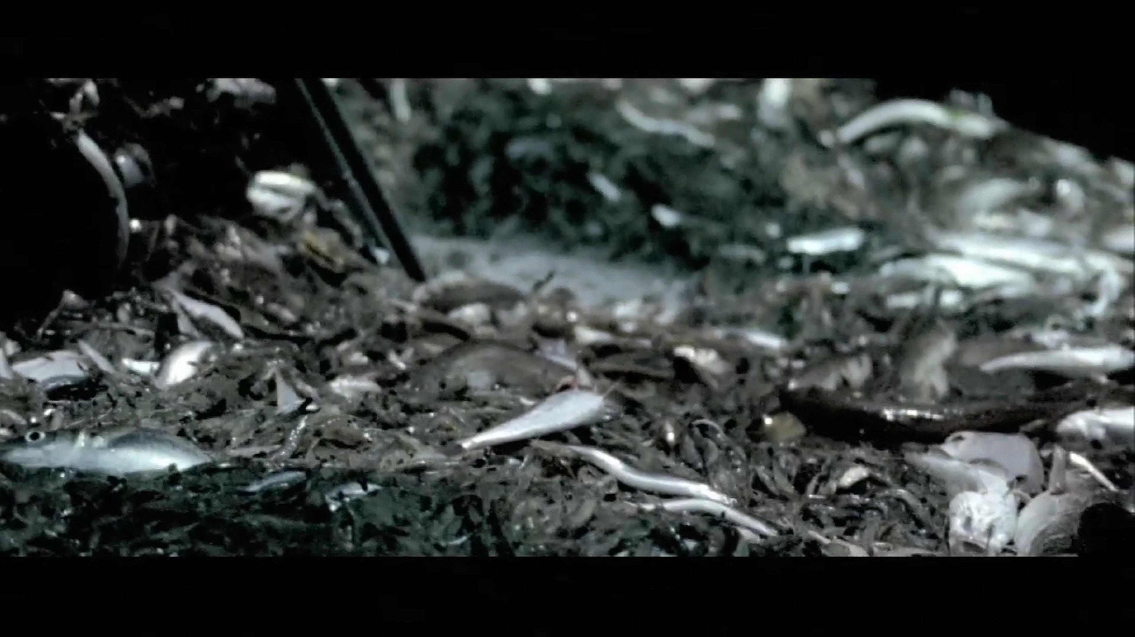 Nachtwake 2008 movie scene