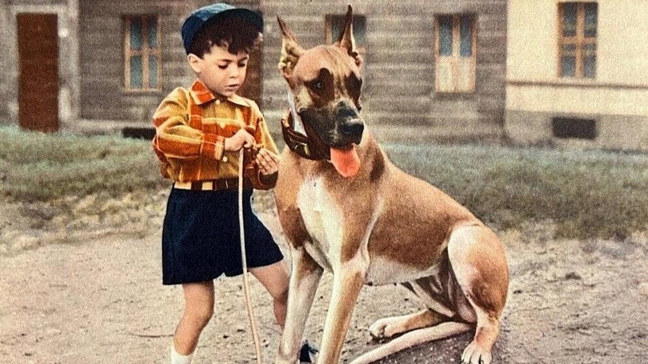 Lauta mancia 1957 movie scene