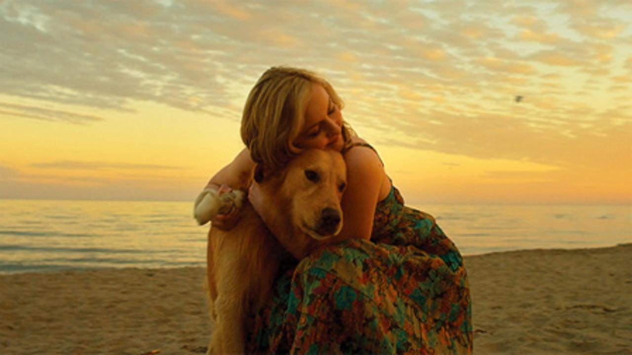 Good Boy 2011 movie scene
