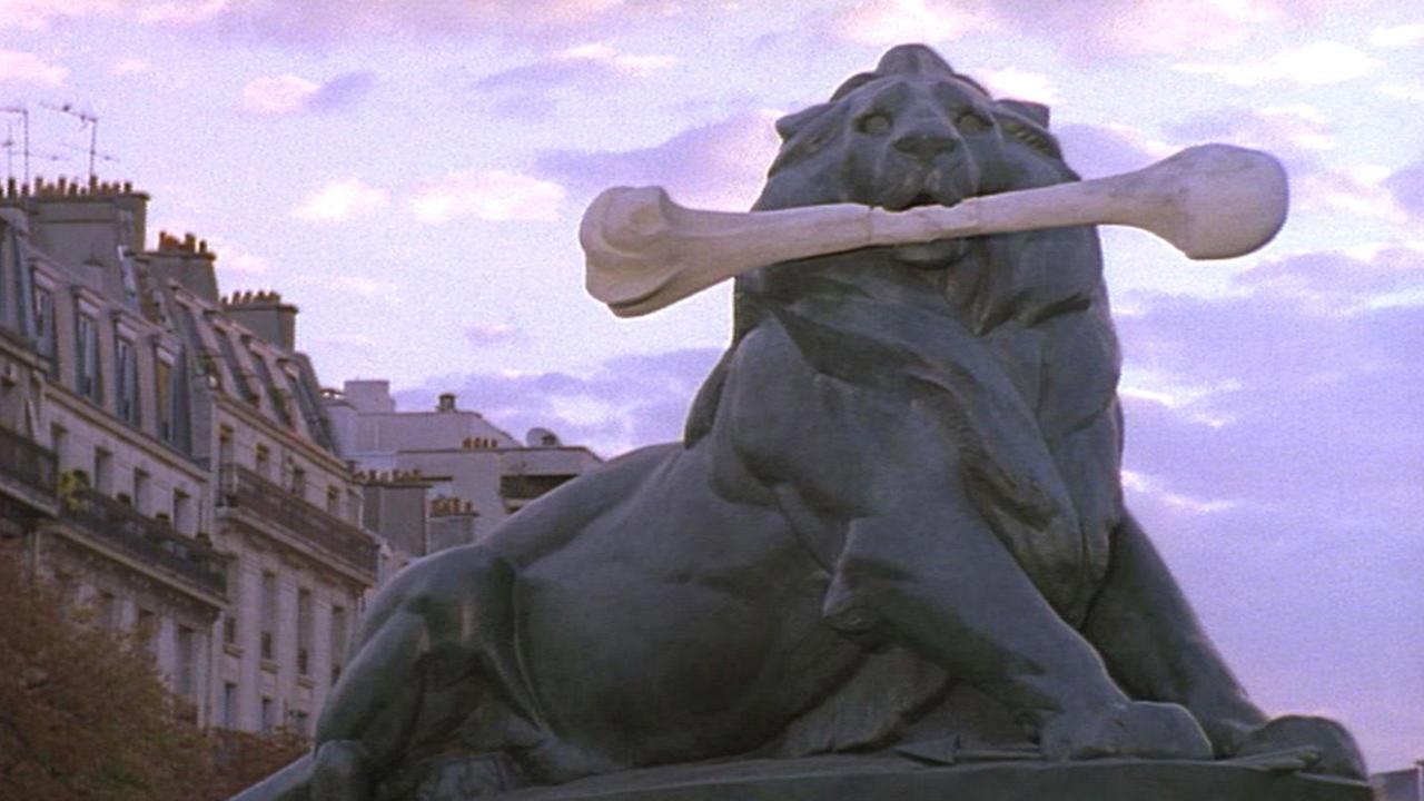 The Vanishing Lion 2003 movie scene
