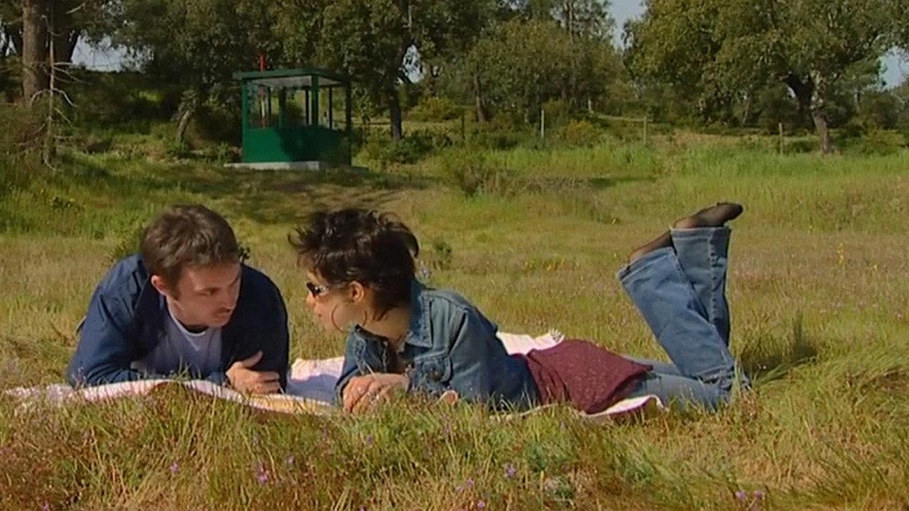 A6-13 movie scene