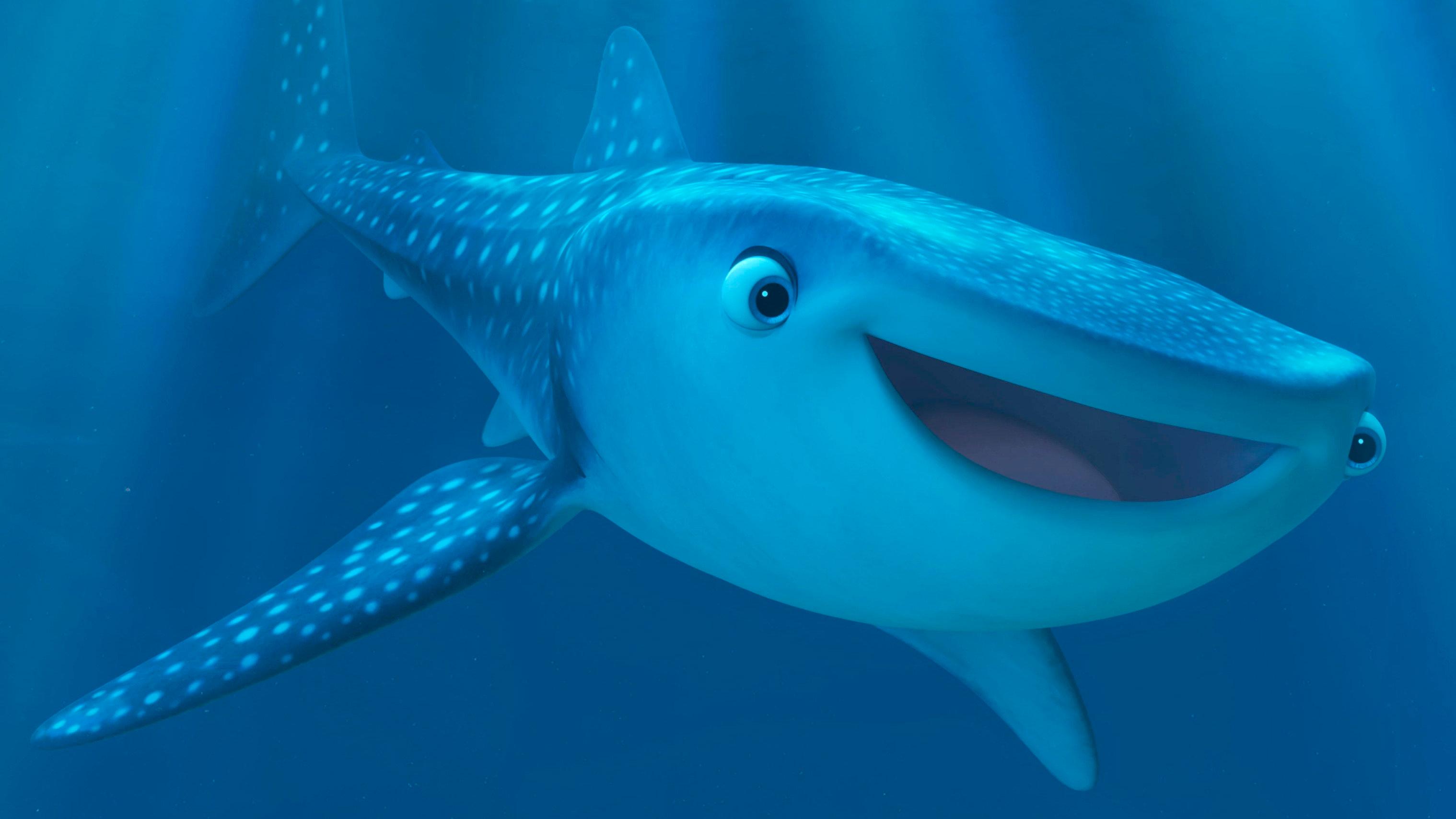 Marine Life Interviews 2016 movie scene