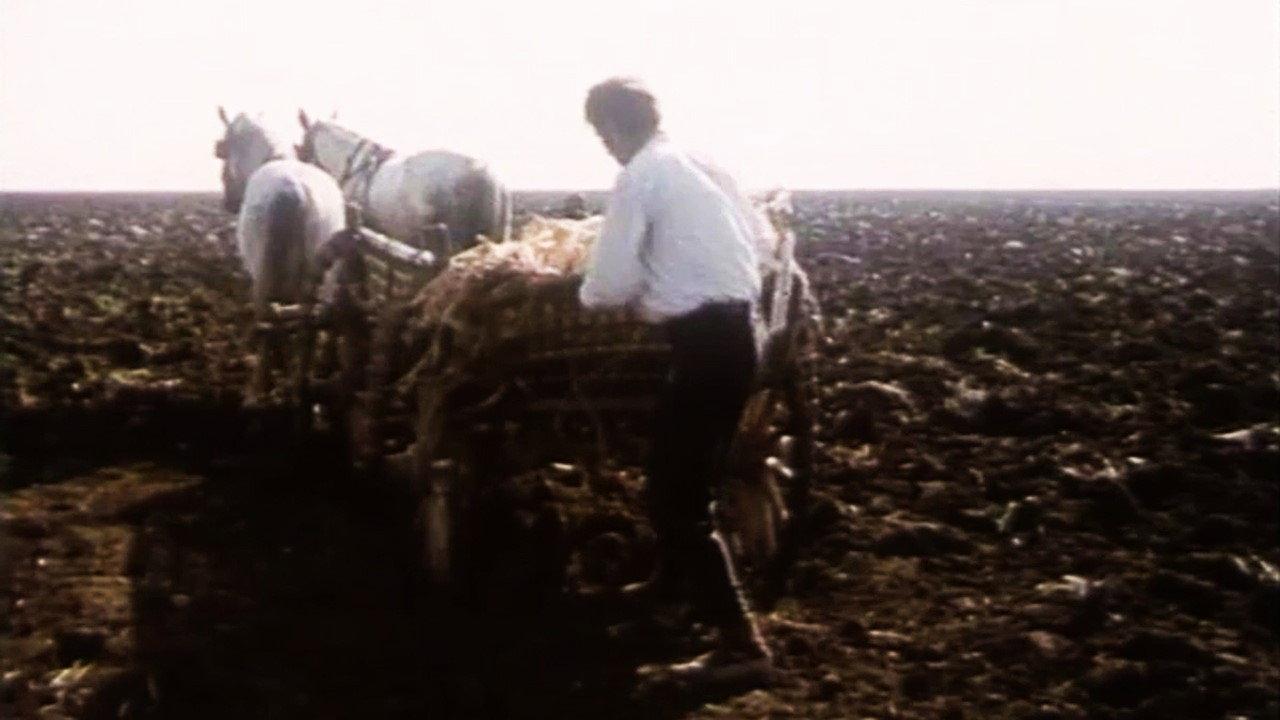 The Death of Djurica the Peasant 1971 movie scene