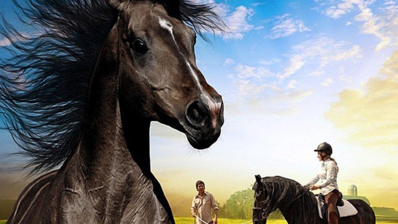 The Dark Horse 2008 movie scene