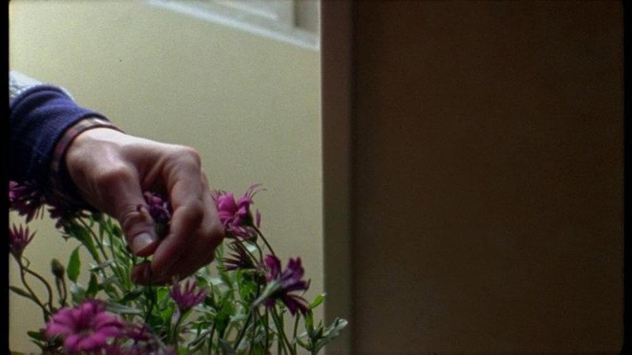 In Praise of the Day 2013 movie scene