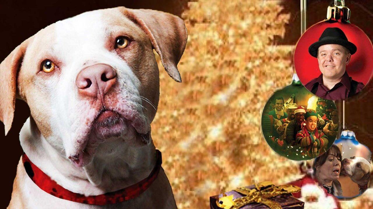 Hercules Saves Christmas 2011 movie scene