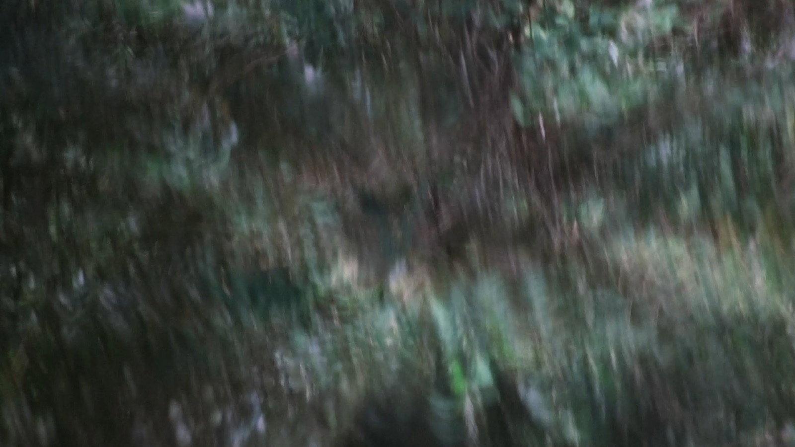 Weapon of Light  movie scene