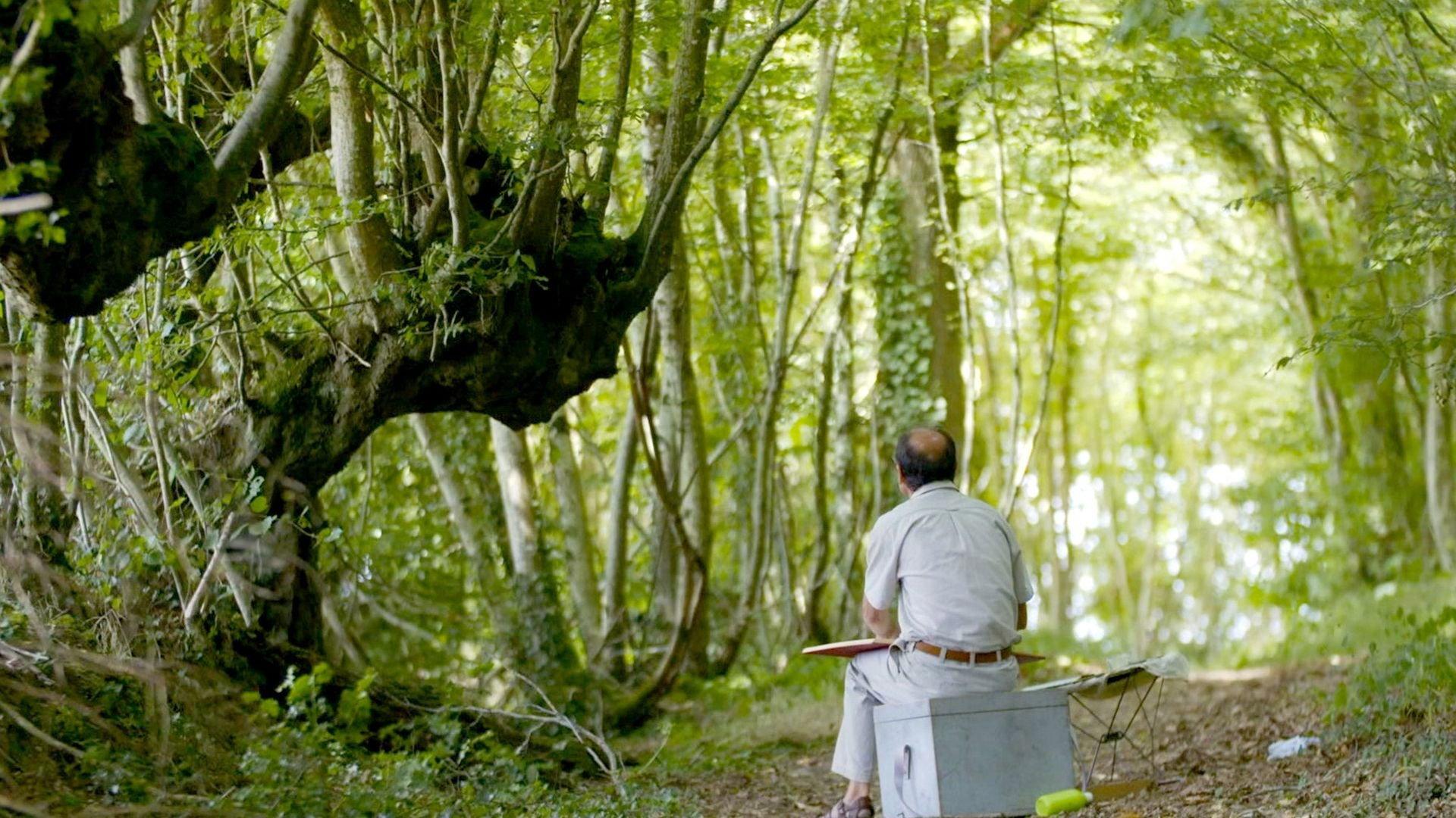 Trognes, les arbres aux mille visages 2019 movie scene