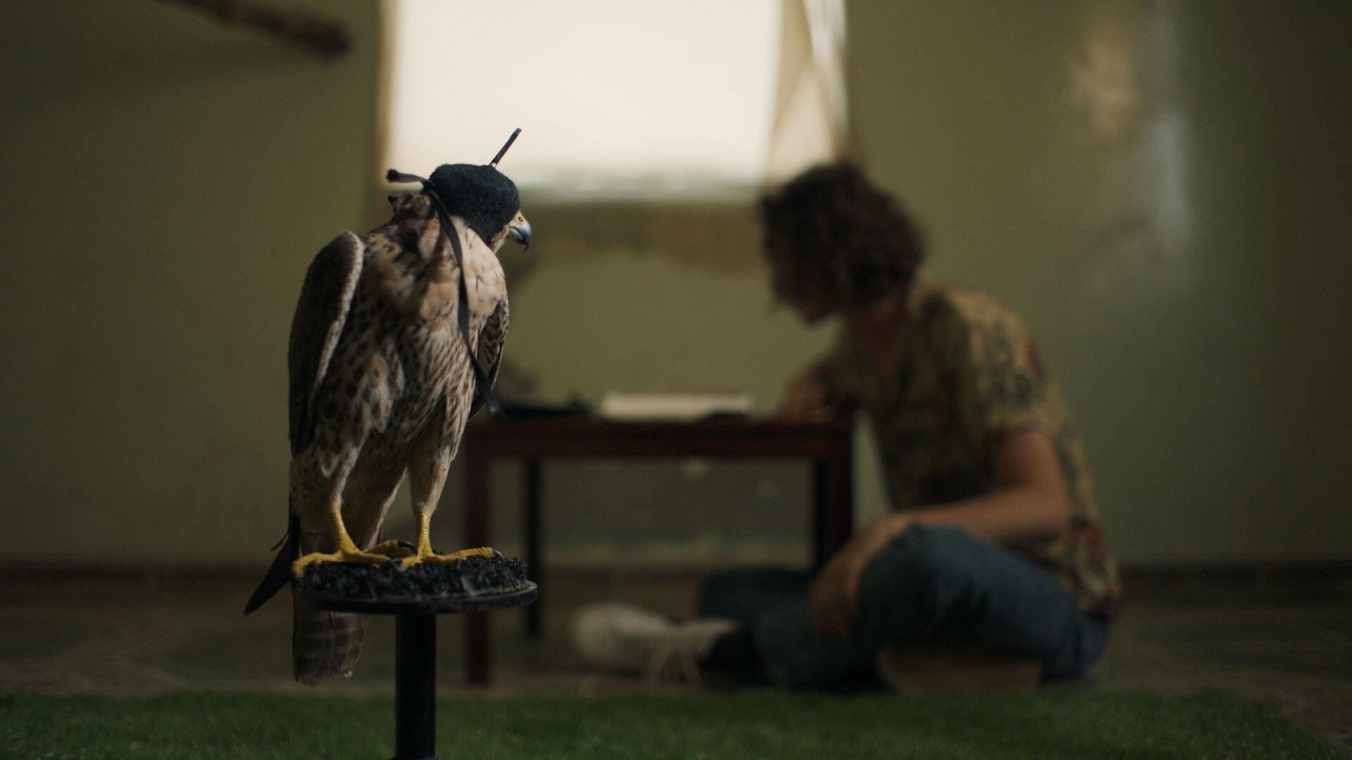The Falconer 2020 movie scene