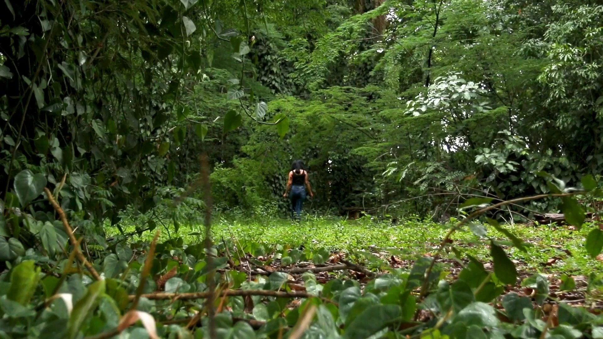 Natur 2022 movie scene