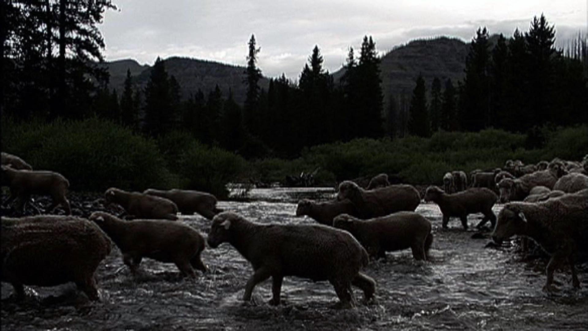 Hell Roaring Creek 2010 movie scene