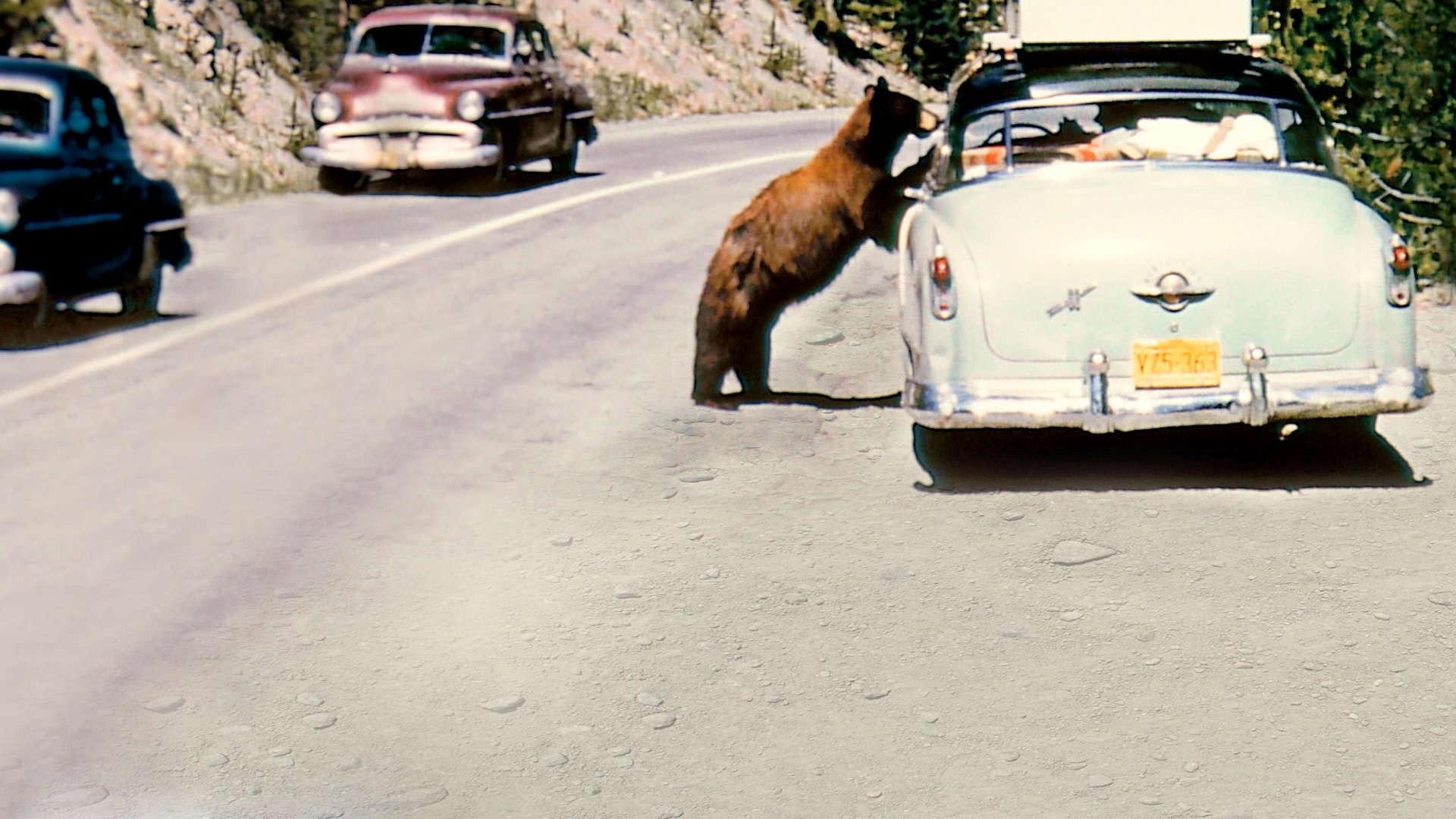 America's National Parks at 100 2016 movie scene