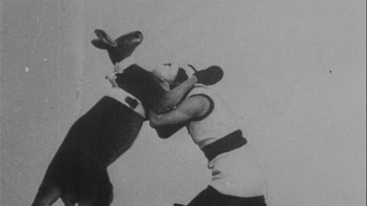 The Boxing Kangaroo 1895 movie scene