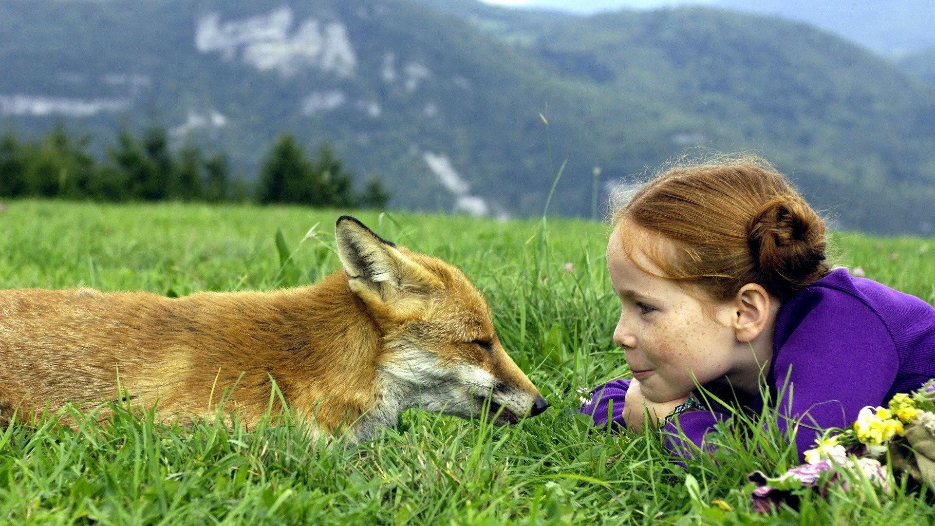 The Fox and the Child 2007 movie scene