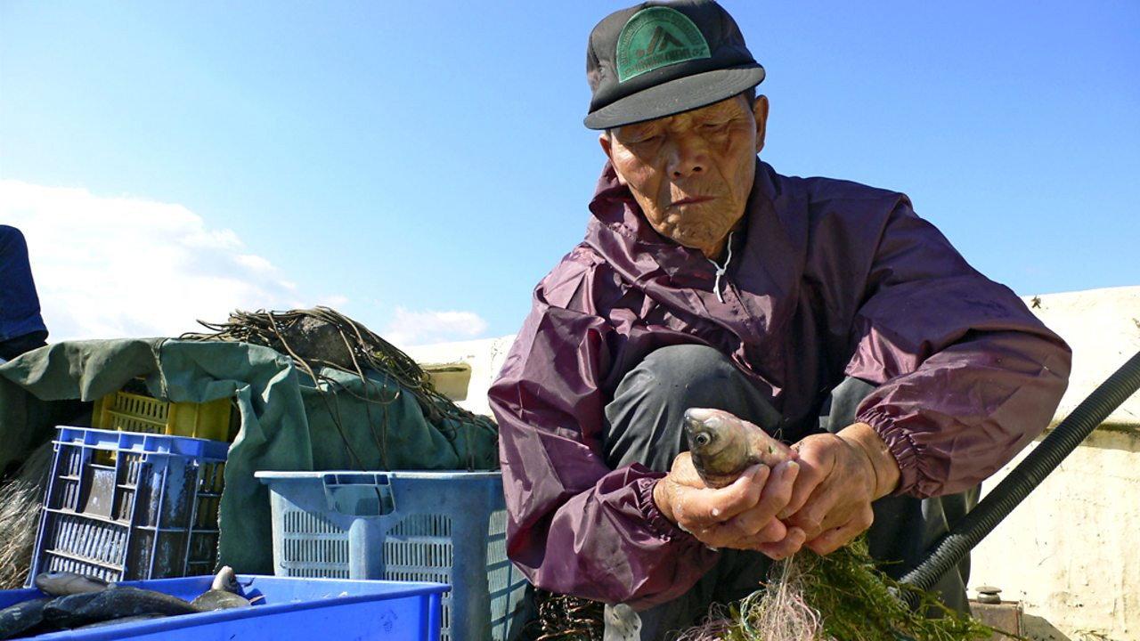 Fish! A Japanese Obsession 2009 movie scene