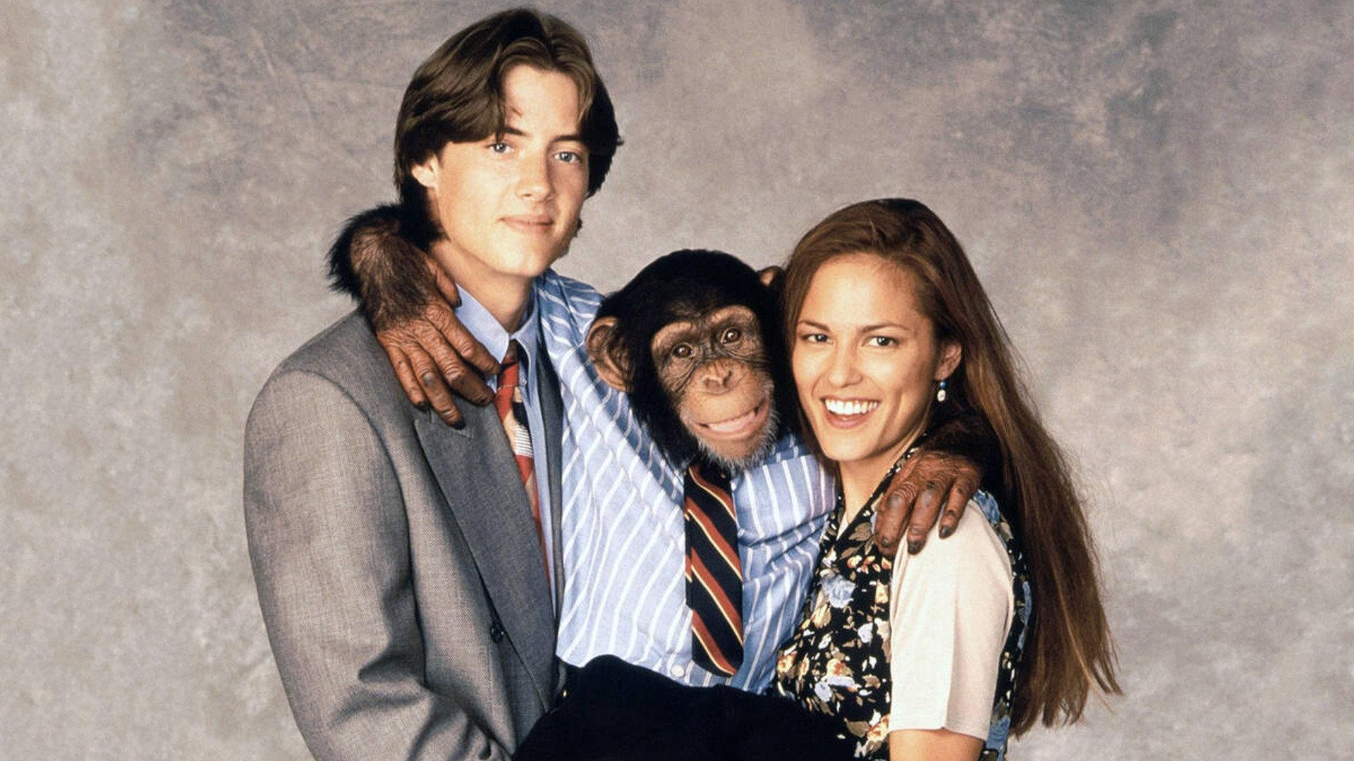 The Barefoot Executive 1995 movie scene