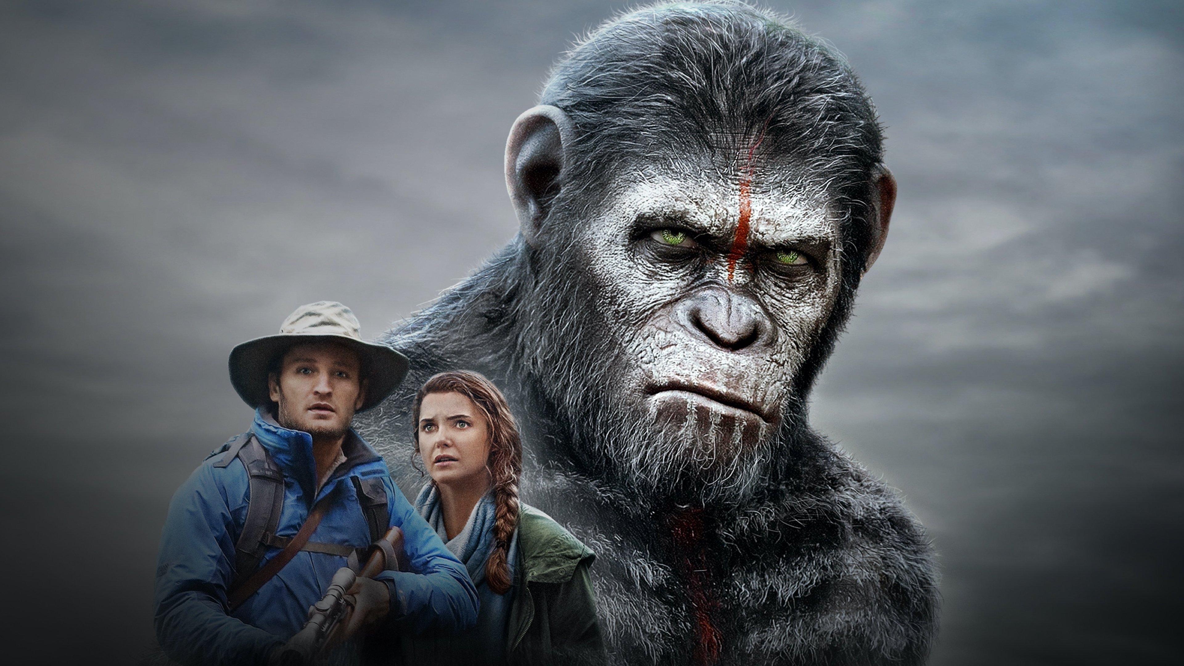 Dawn of the Planet of the Apes 2014 movie scene