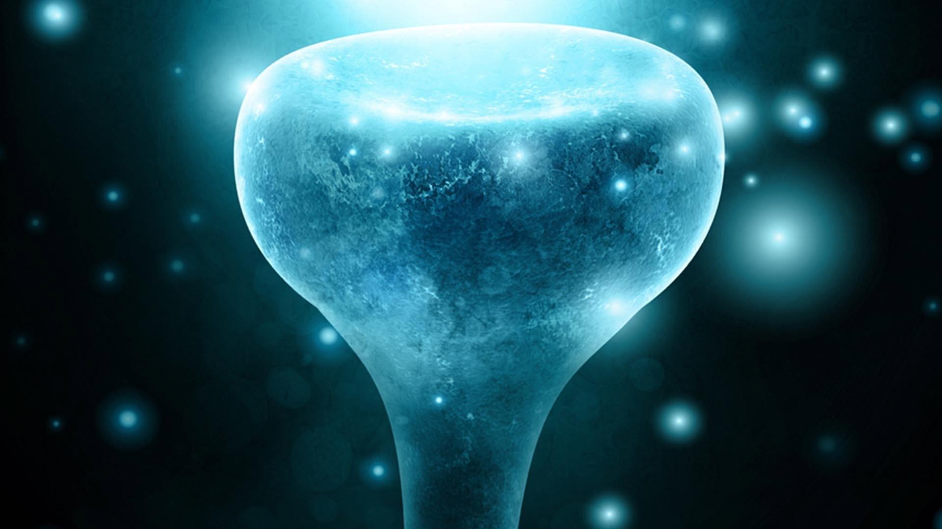 Neurons to Nirvana 2013 movie scene