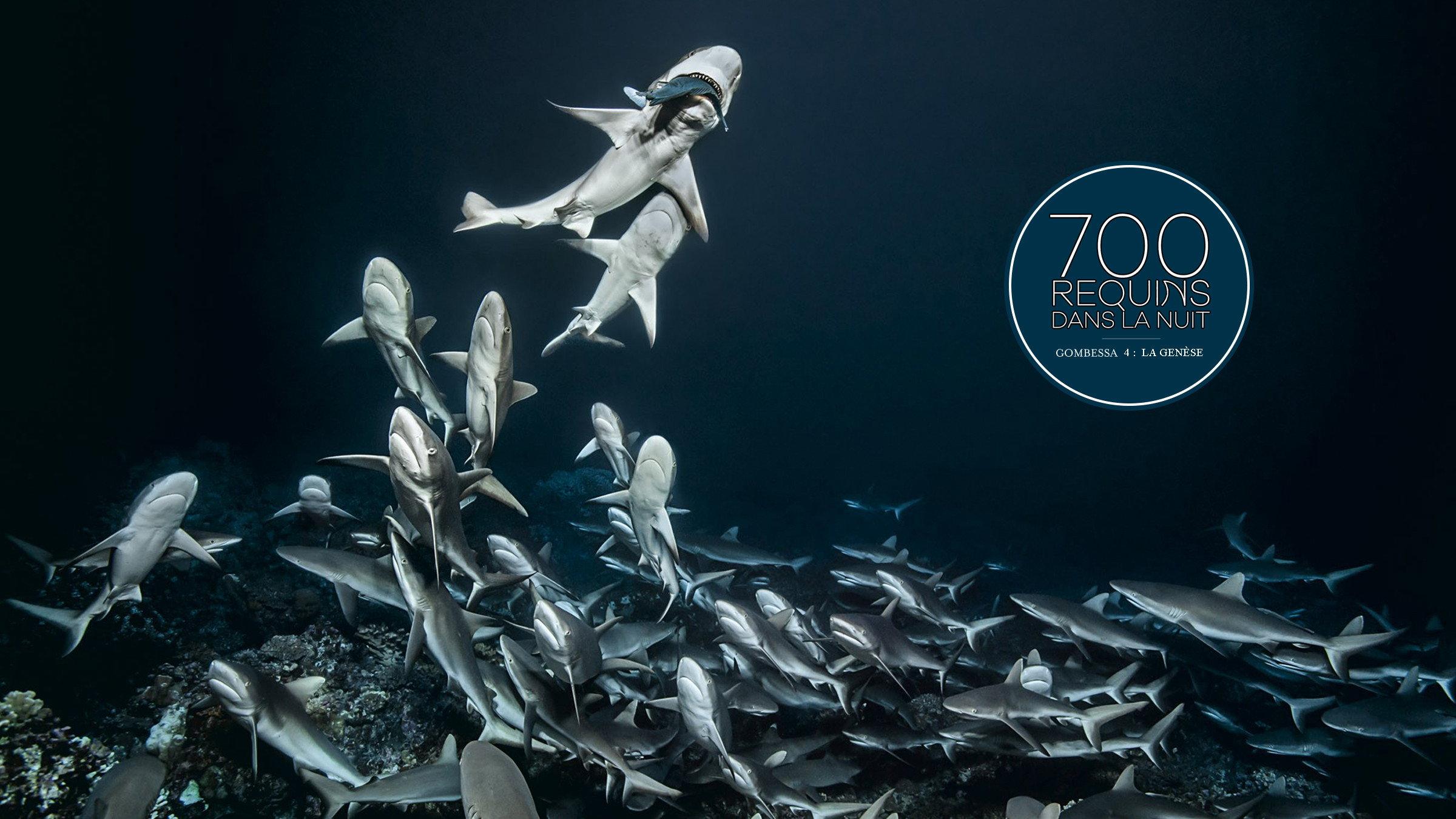 700 Sharks (Gombessa 4, Genesis) 2016 movie scene
