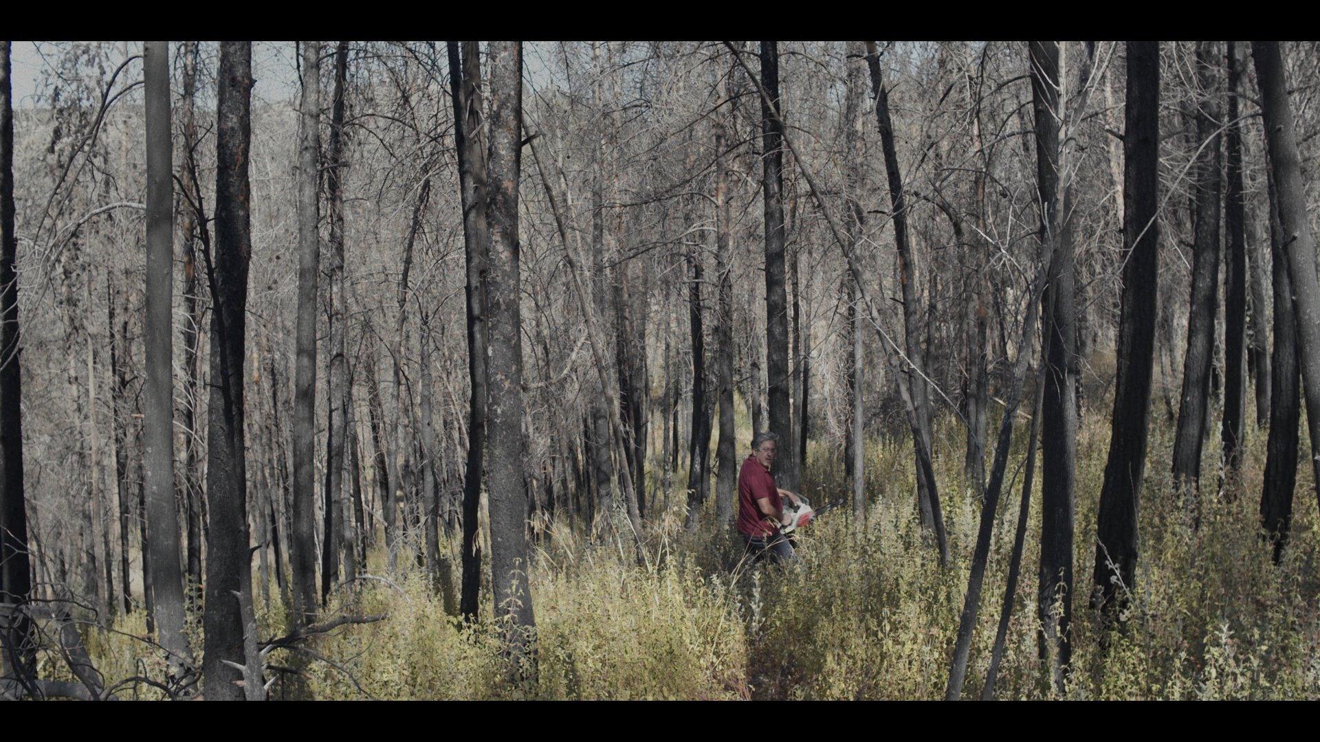 Pines 2024 movie scene